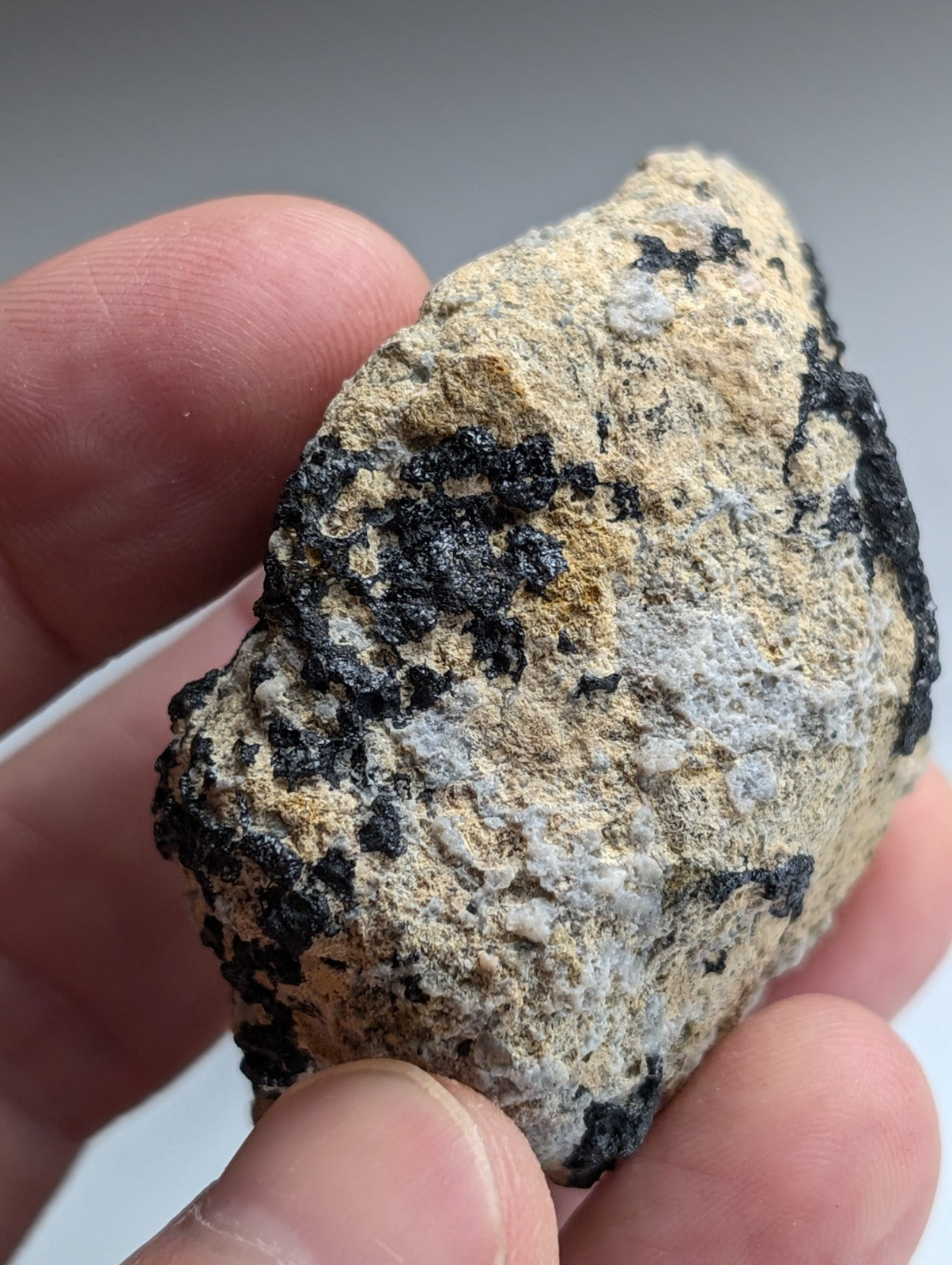 Garnet on Syenite matrix, Magnet Cove, Hot Spring County, Arkansas, Old Stock
