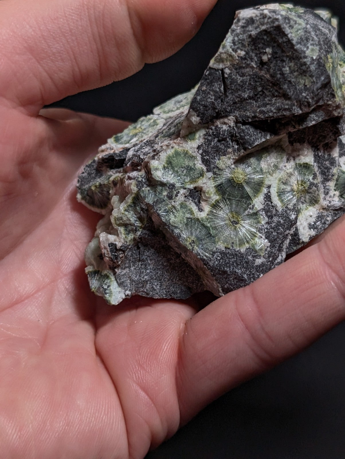 A+++ UV Reactive Wavellite -Old Stock- Mauldin Mountain, Arkansas, USA, RARE!