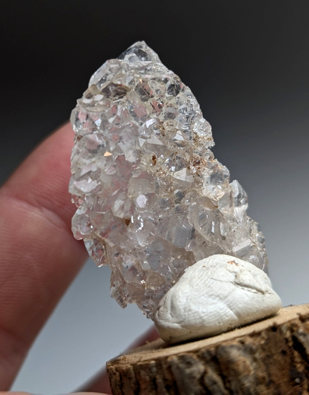 A+ Unique Quartz, Old Stock, Montgomery County, Arkansas, w/ natural wood base