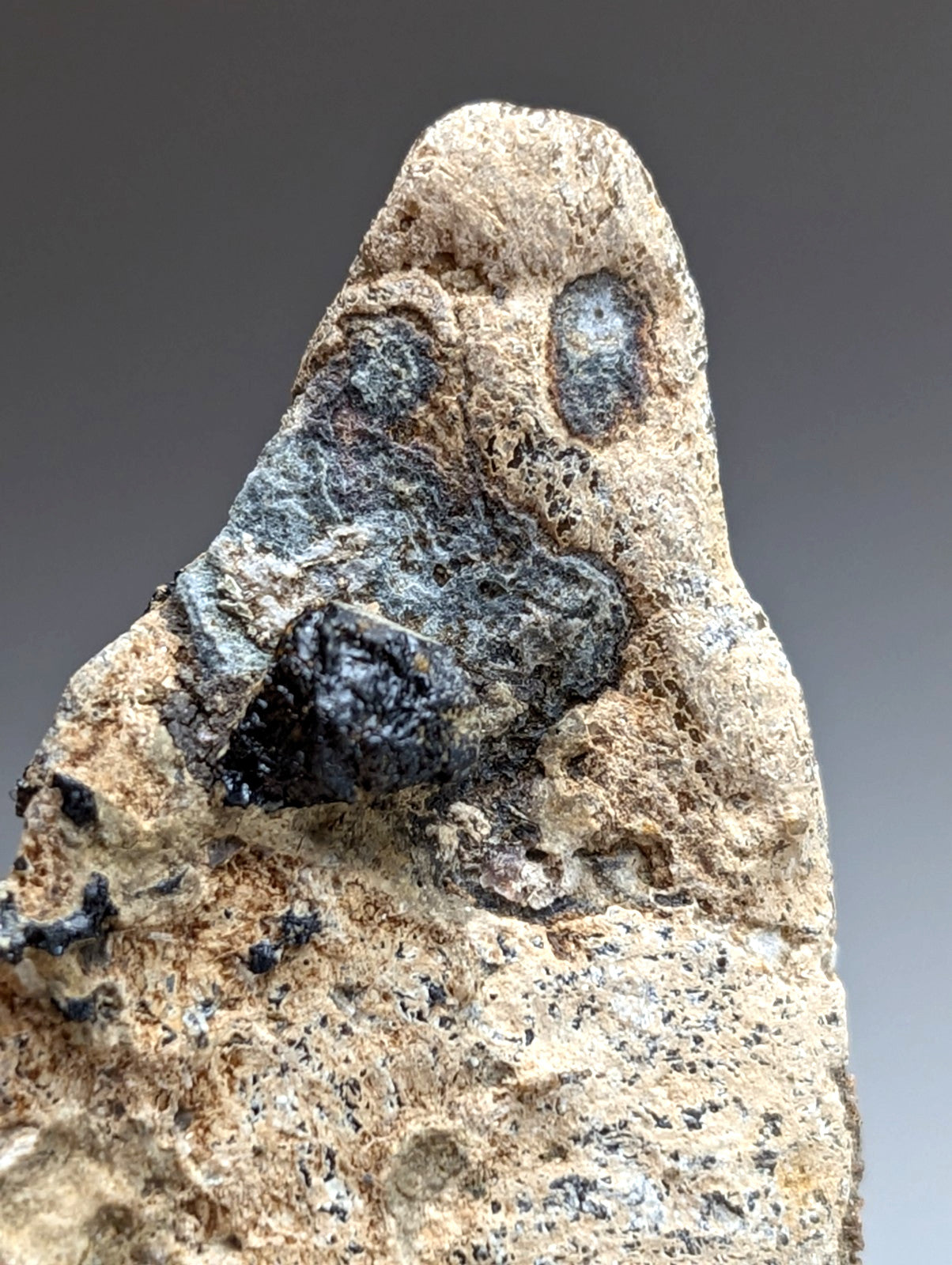 Garnet on Syenite matrix, Magnet Cove, Arkansas, Old Stock, + wood stand