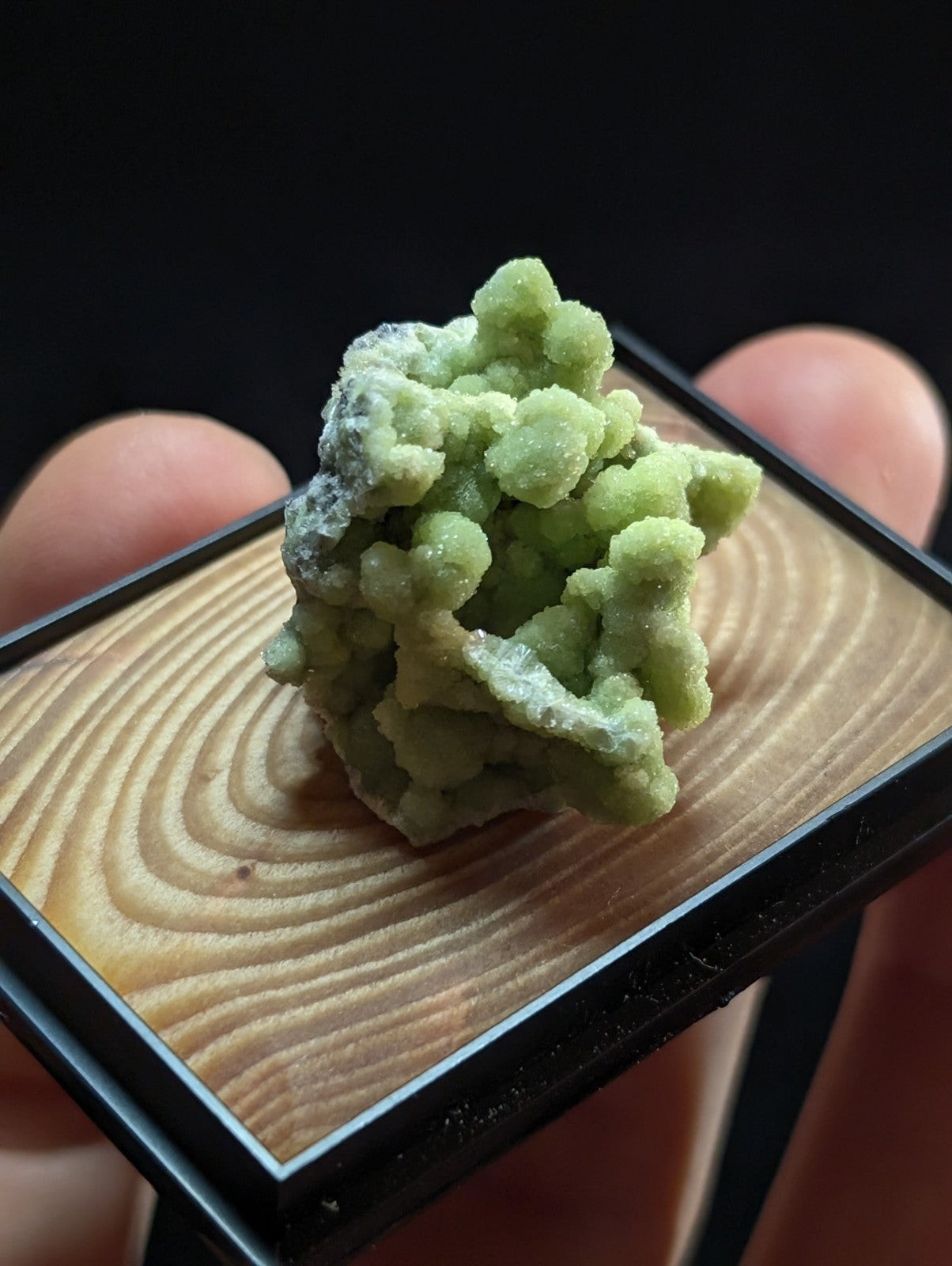 A+ FluorWavellite, w/ wood mount + photo case - Montgomery County, Arkansas