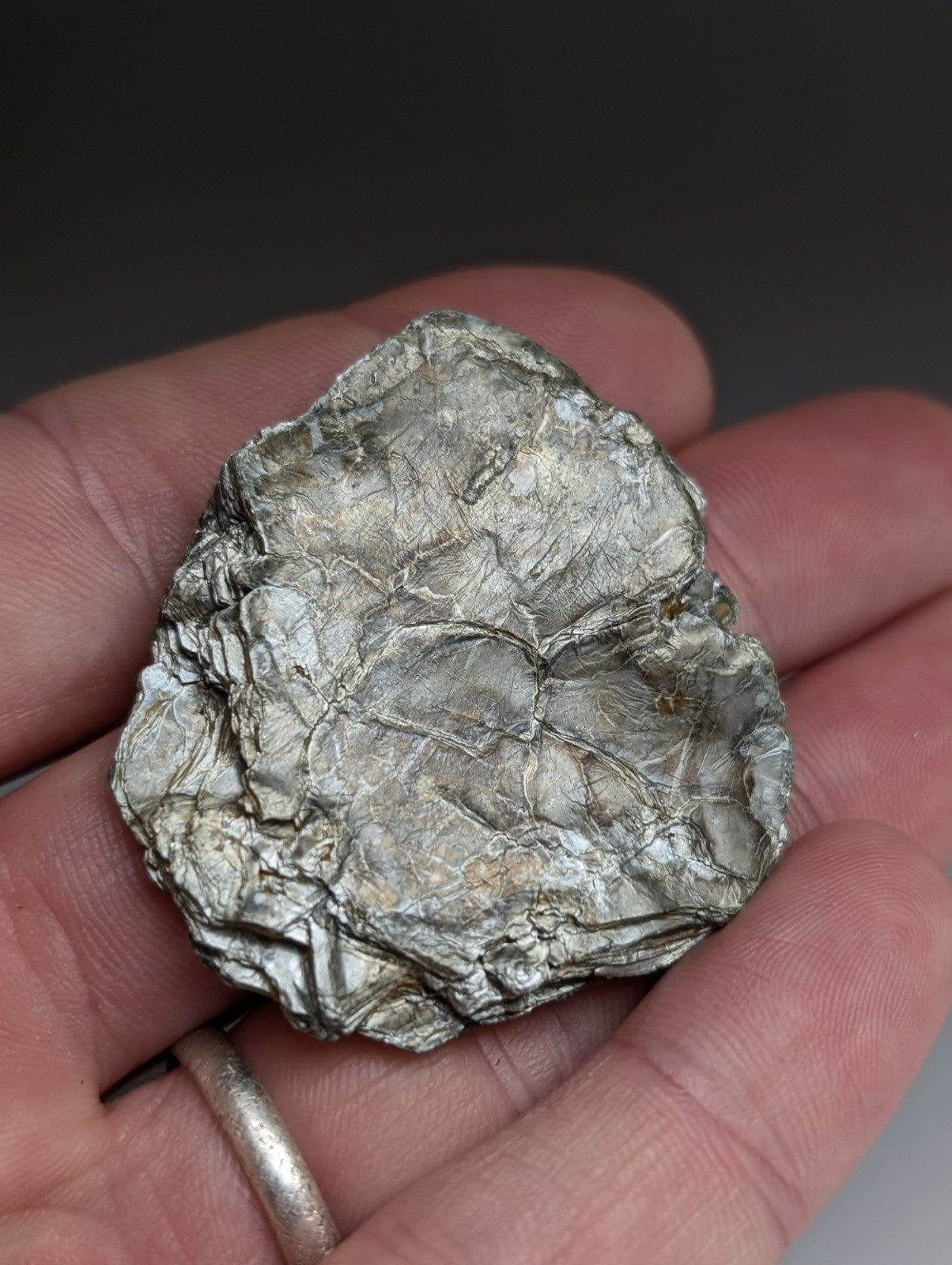 Green Mica, Magnet Cove, Hot Spring County, Arkansas, Unique Old Stock