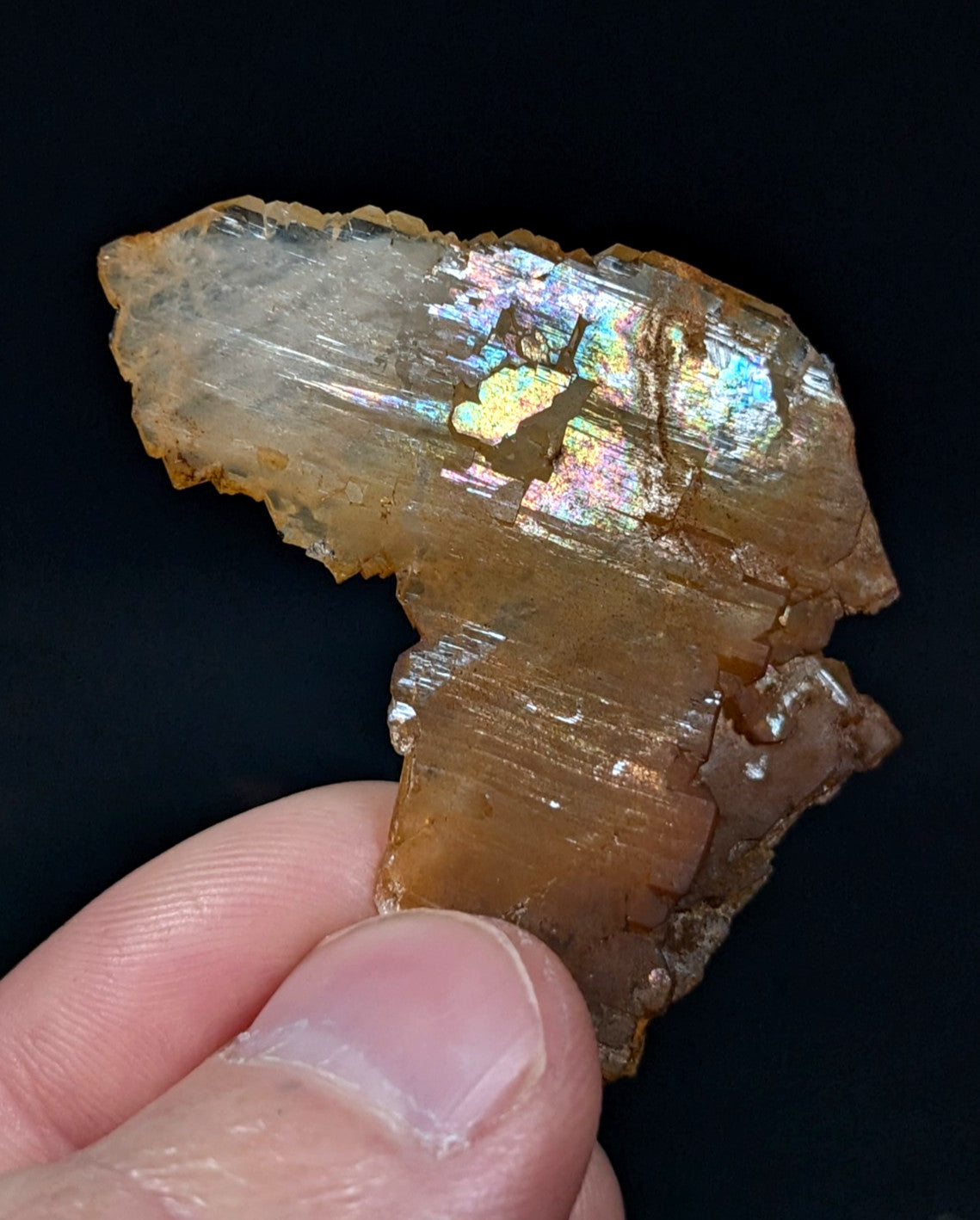 Rare Faden Sheet Quartz Crystal w/ Rainbows, Garland County, Arkansas, USA, A+