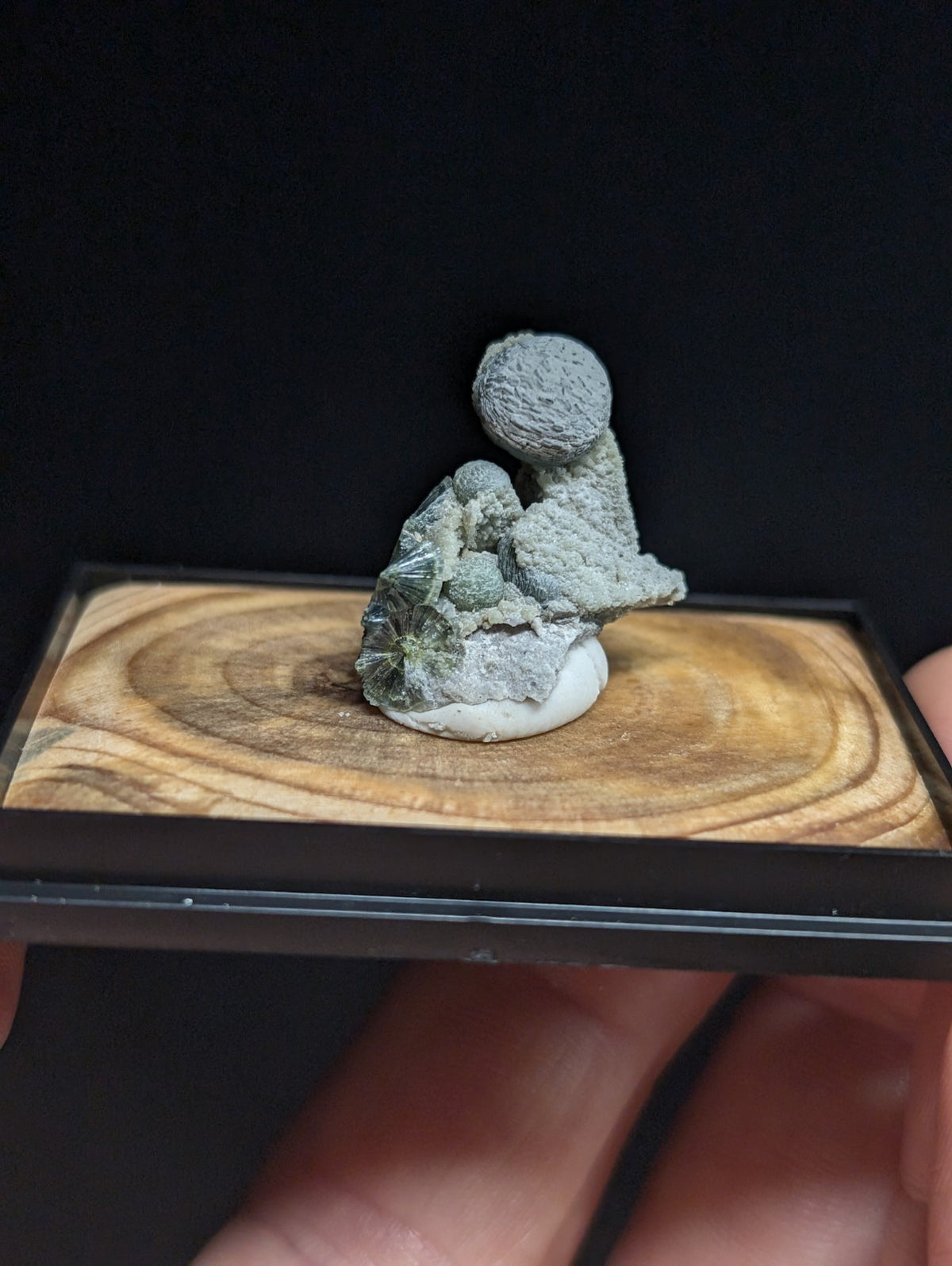 Blue-Green Wavellite, w/ wood mount + photo case - Garland County, Arkansas