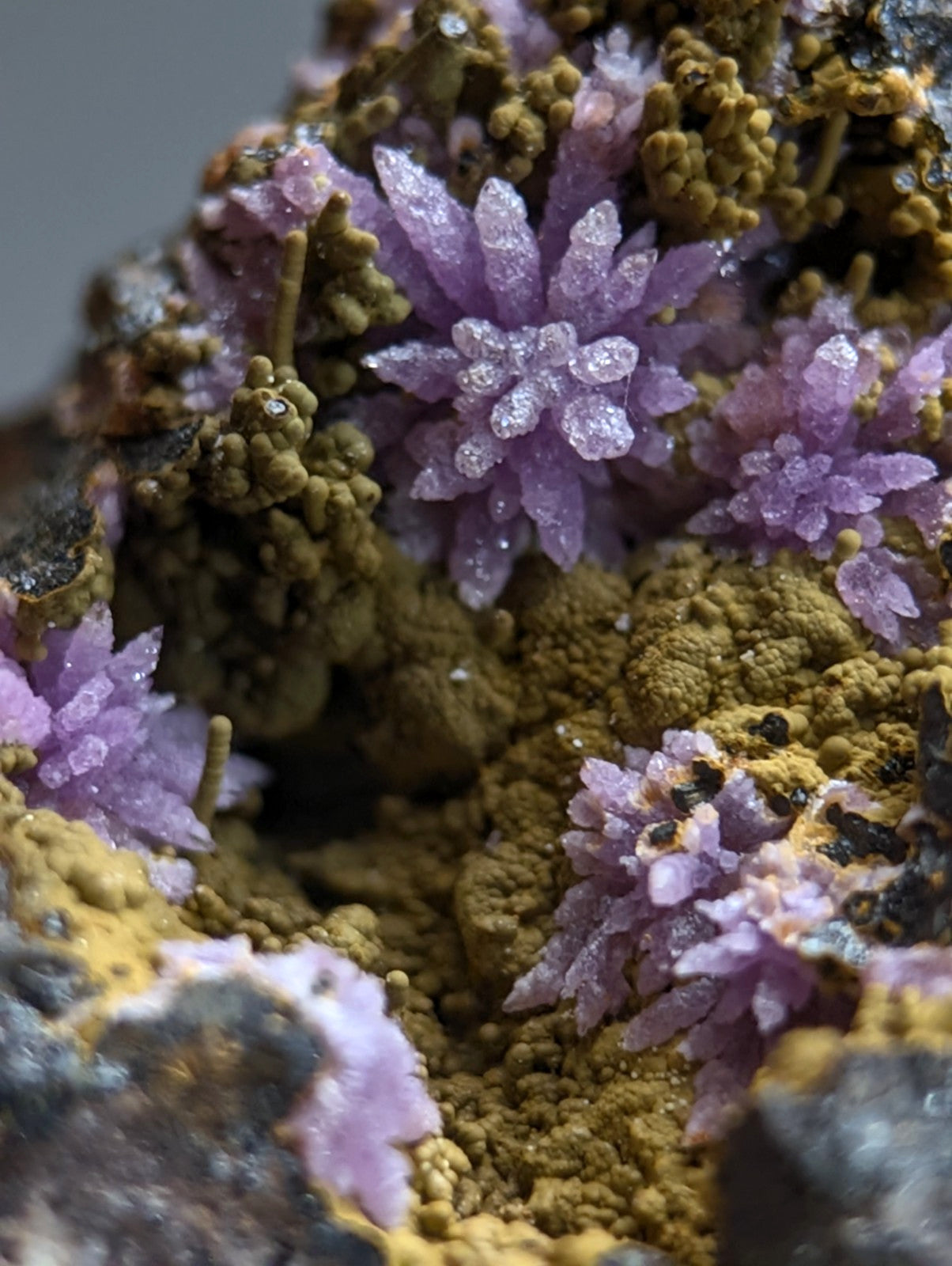 Super Rare Strengite + Kidwellite, etc, Coon Creek Mine, Polk Co, Arkansas, A+++
