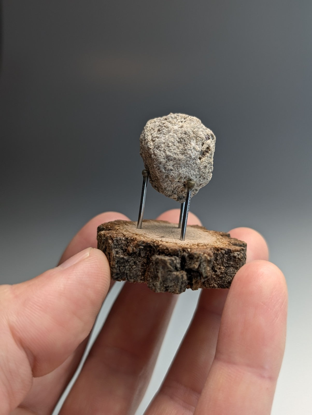 Pseudoleucite, Magnet Cove, Hot Spring County, Arkansas, Old Stock, w/wood stand