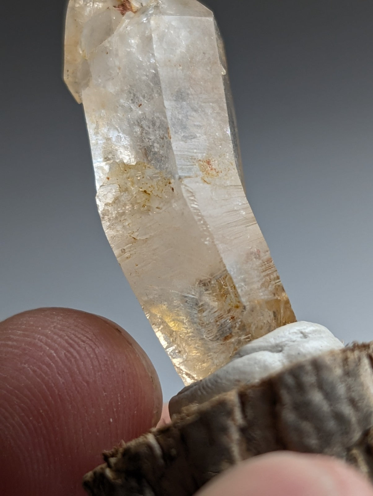 Curved Quartz, Old Stock, Montgomery County, Arkansas, w/ natural wood base