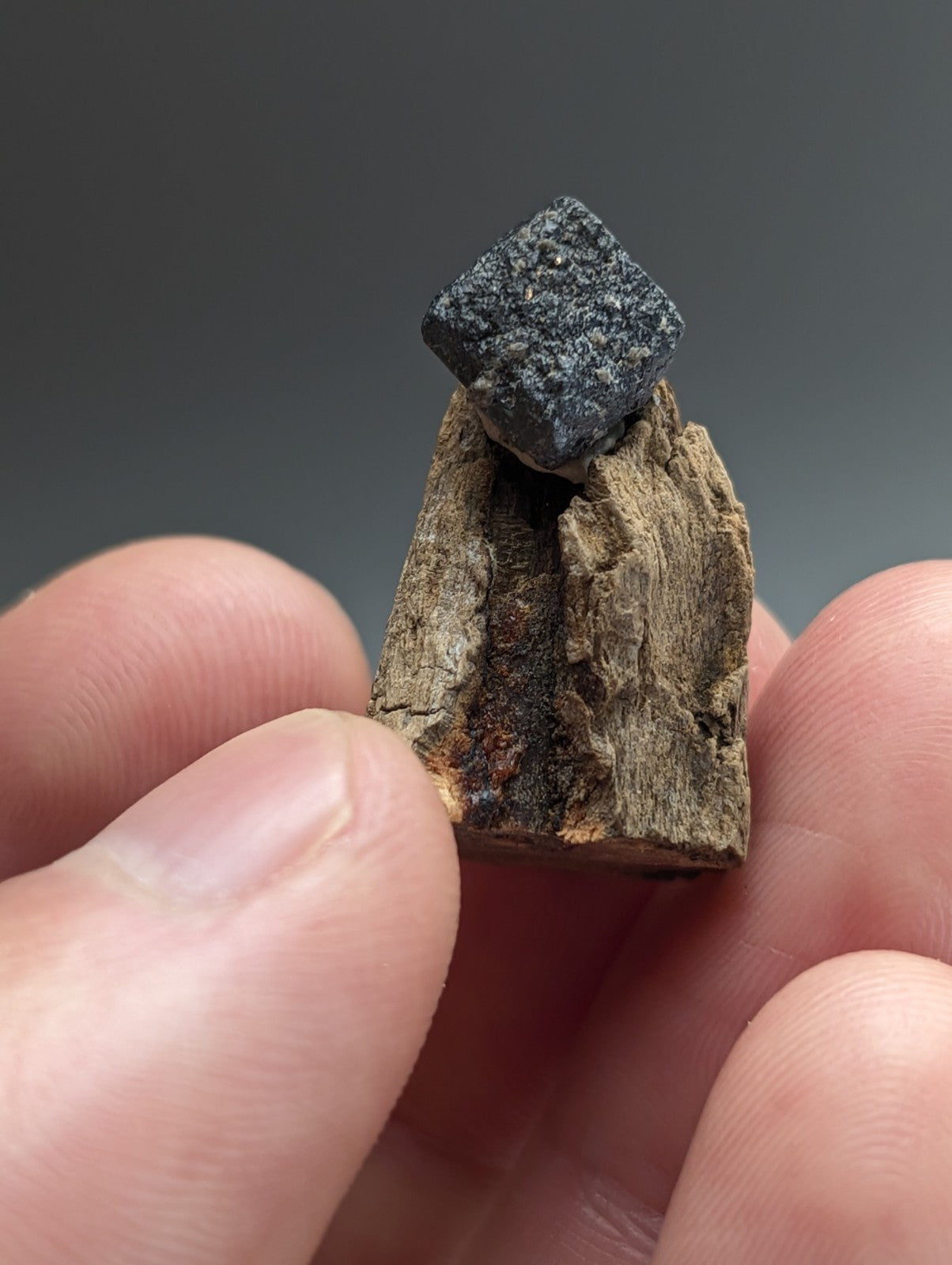 Brookite crystal, Magnet Cove, Hot Spring Co. Arkansas, Old Stock, + wood stand