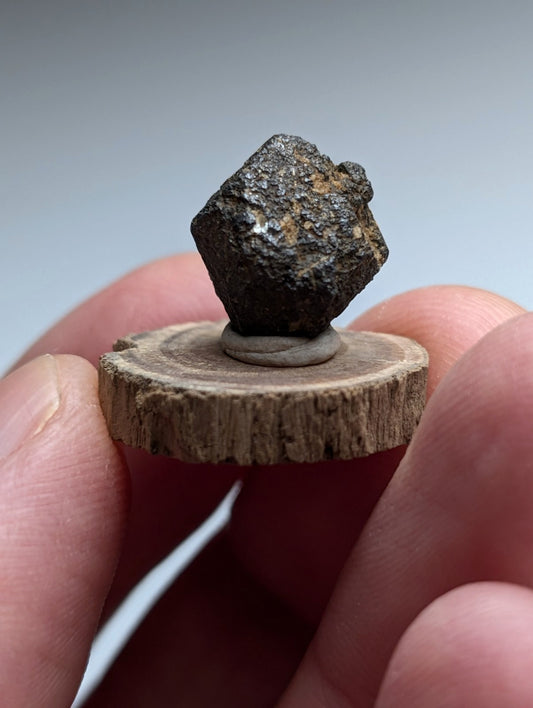 Magnetite crystal, Magnet Cove, Hot Spring County, Arkansas, USA, Old Stock