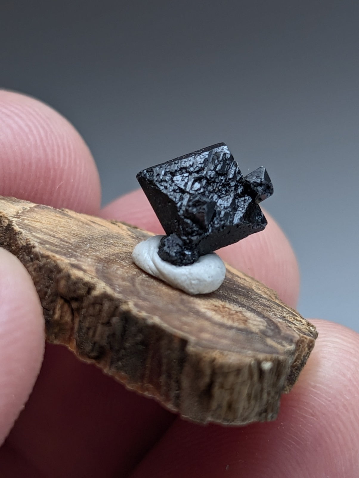 A+ Brookite Crystal, Magnet Cove, Arkansas, Old Stock, + wood stand