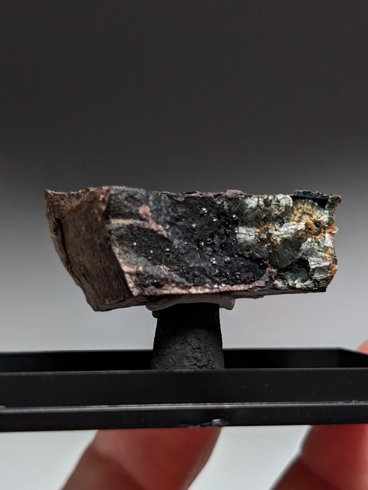 Rare Kidwellite on Novaculite - Coon Creek, Polk County, Arkansas, w/ photo case