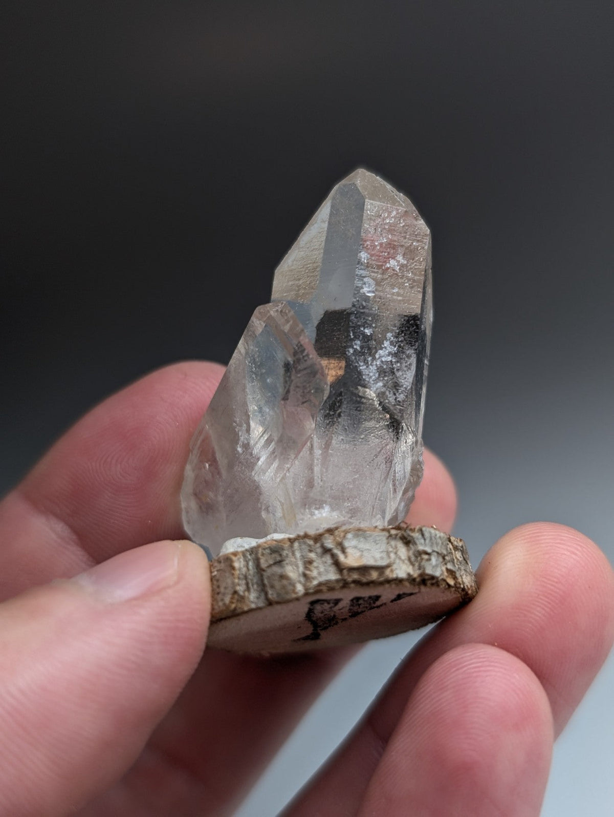 Unique Quartz Point, Old Stock, Garland County, Arkansas, w/ natural wood base