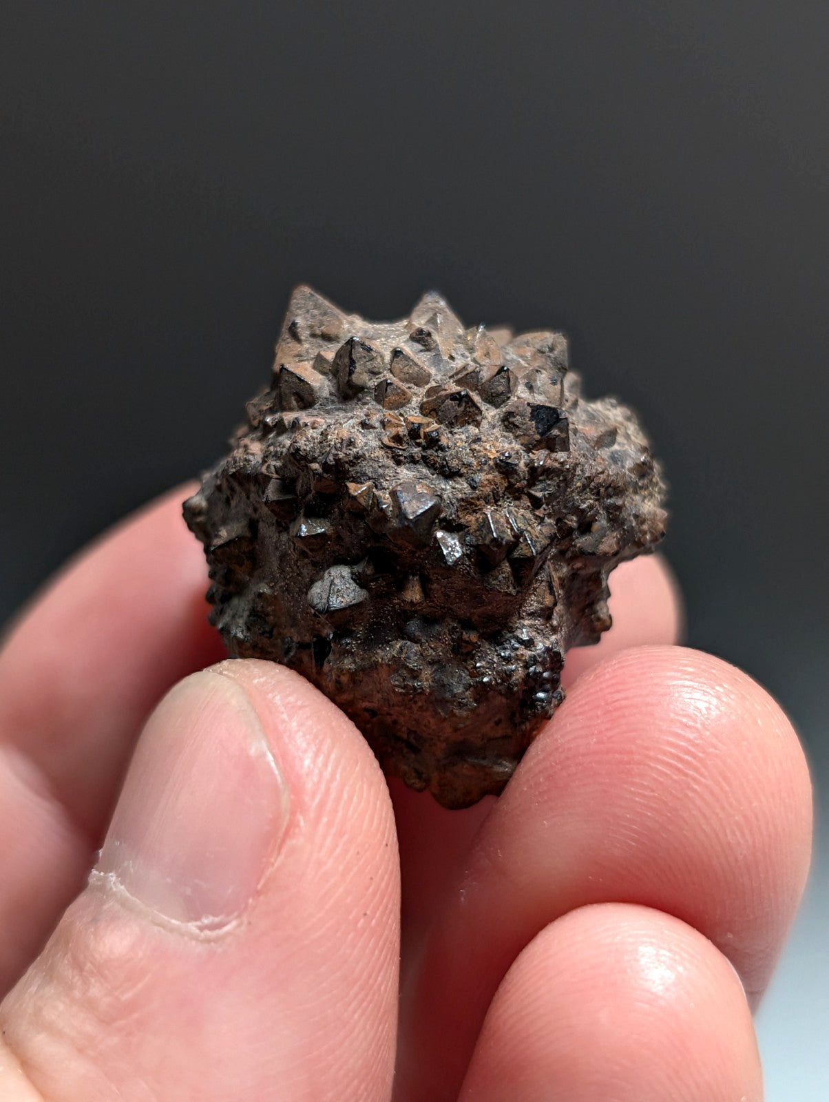 Limonite & Pyrite Pseudomorph, Benton County, Arkansas,  Ex Henry Delinde!