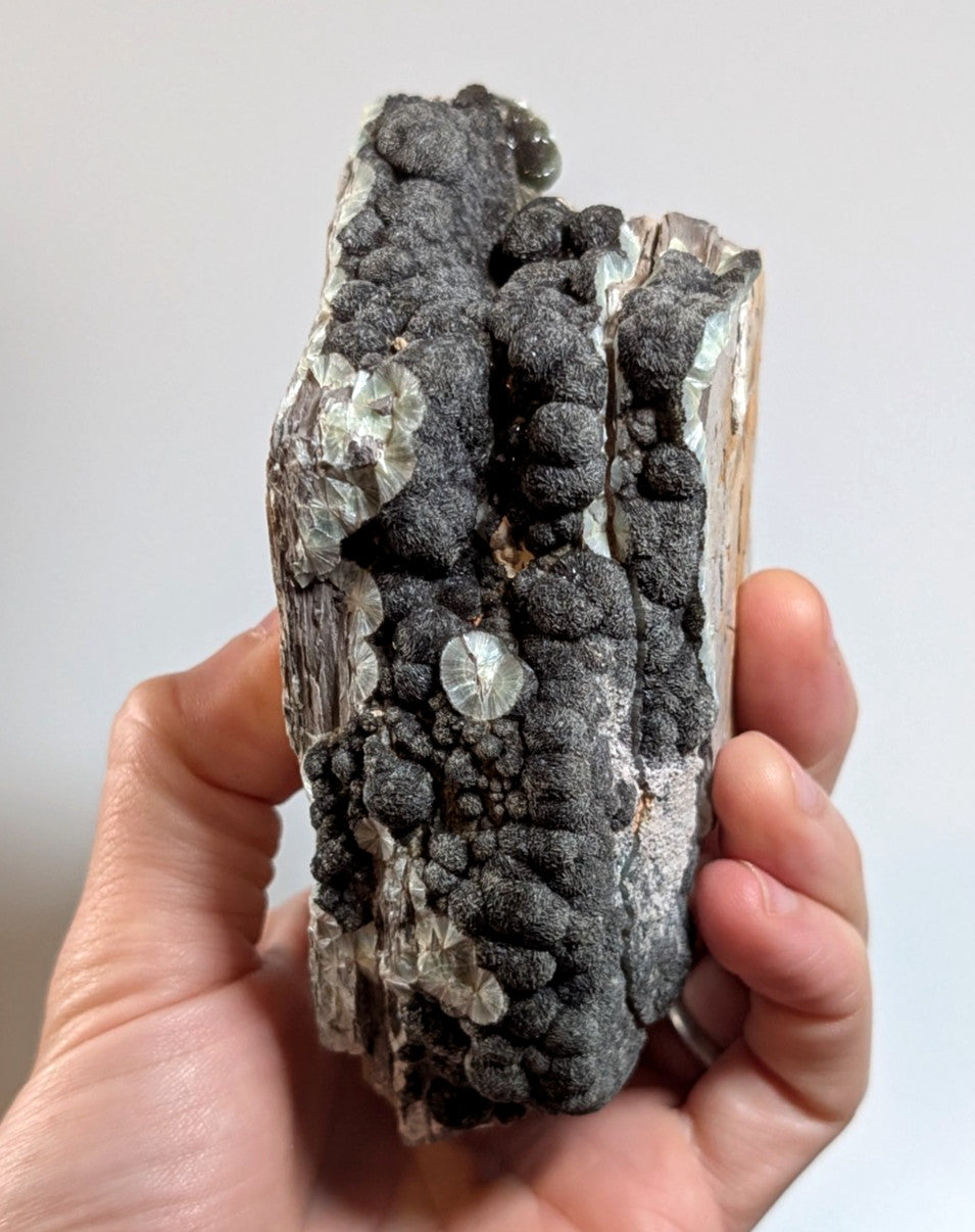 Black Wavellite - Fantastic Old Stock - Mauldin Mountain, Arkansas, USA, Rare