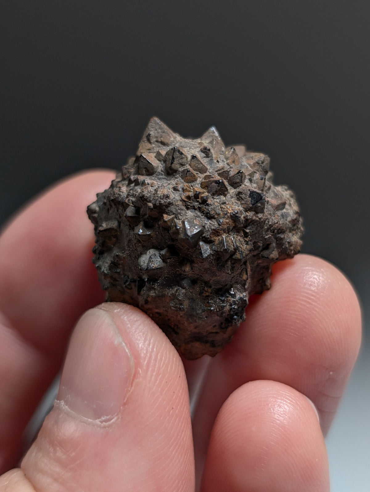 Limonite & Pyrite Pseudomorph, Benton County, Arkansas,  Ex Henry Delinde!