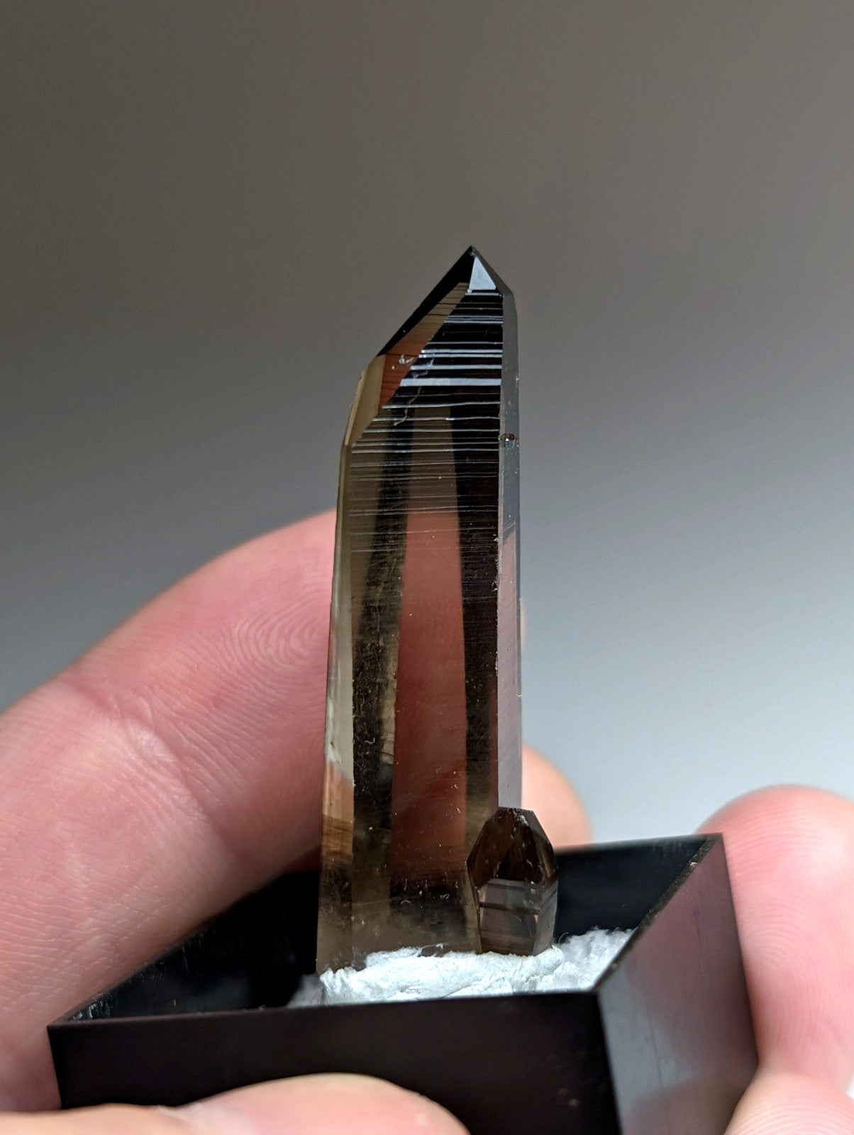 A+ Irradiated Smoky Quartz Crystal Point, Garland County, Arkansas, USA, Delinde