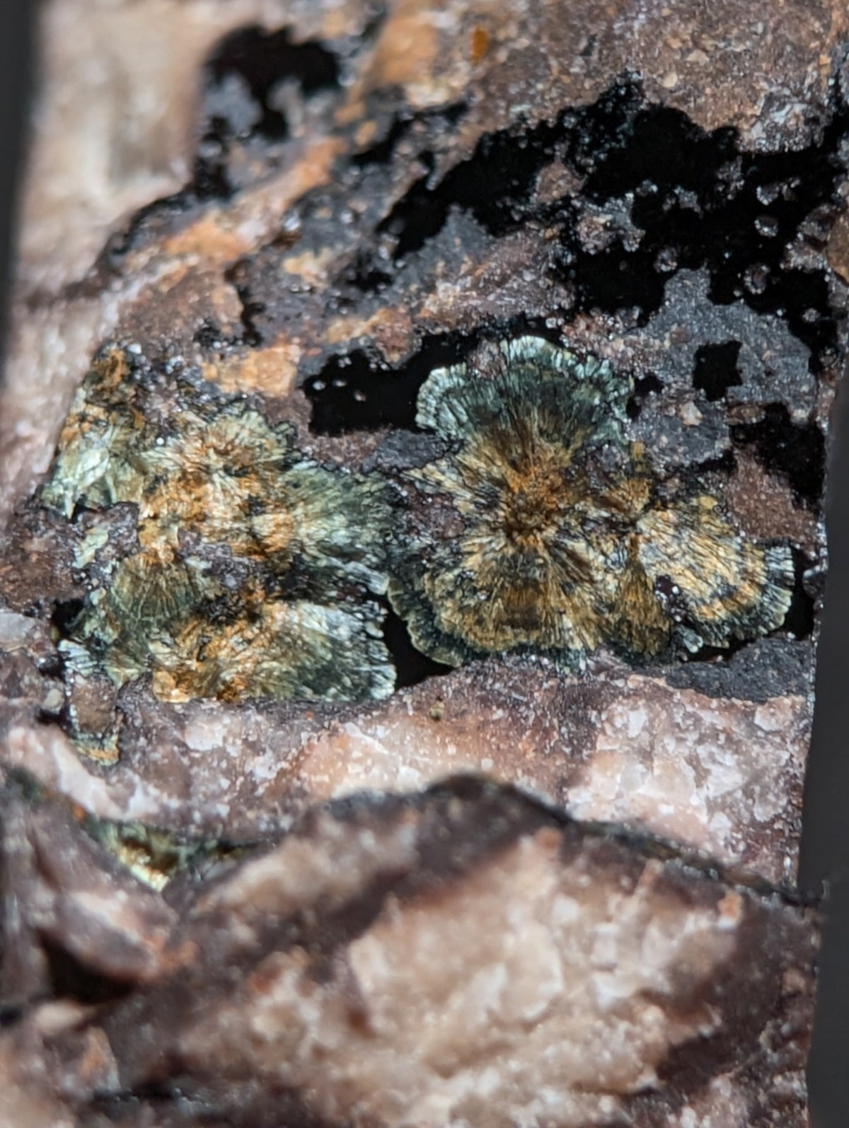 Rare Kidwellite specimen - Coon Creek Mine, Polk County, Arkansas, USA