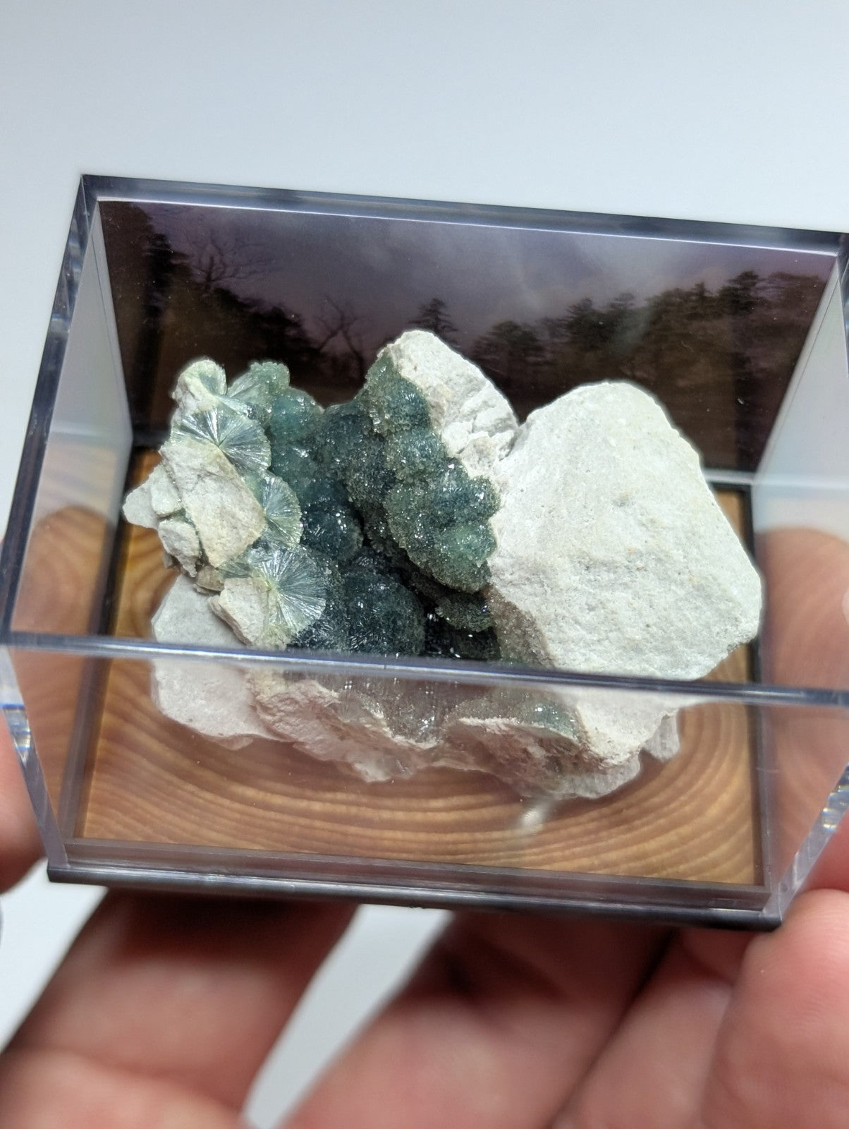 Wavellite, w/ wood mount + photo case - Old Stock - Garland County, Arkansas