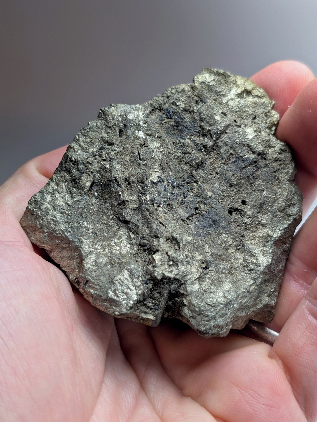 Pyrite with Molybdenum, Magnet Cove, Arkansas, USA, w/ wood display, ex Delinde