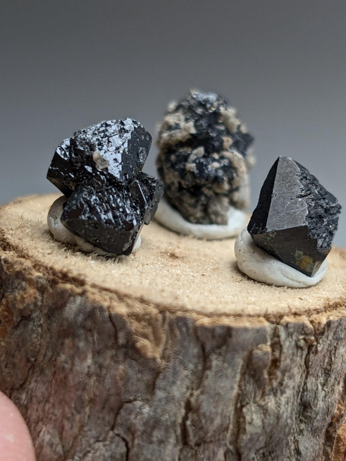 Set of 3 Brookite + Smoky Quartz, Magnet Cove, Arkansas, Old Stock, + wood stand