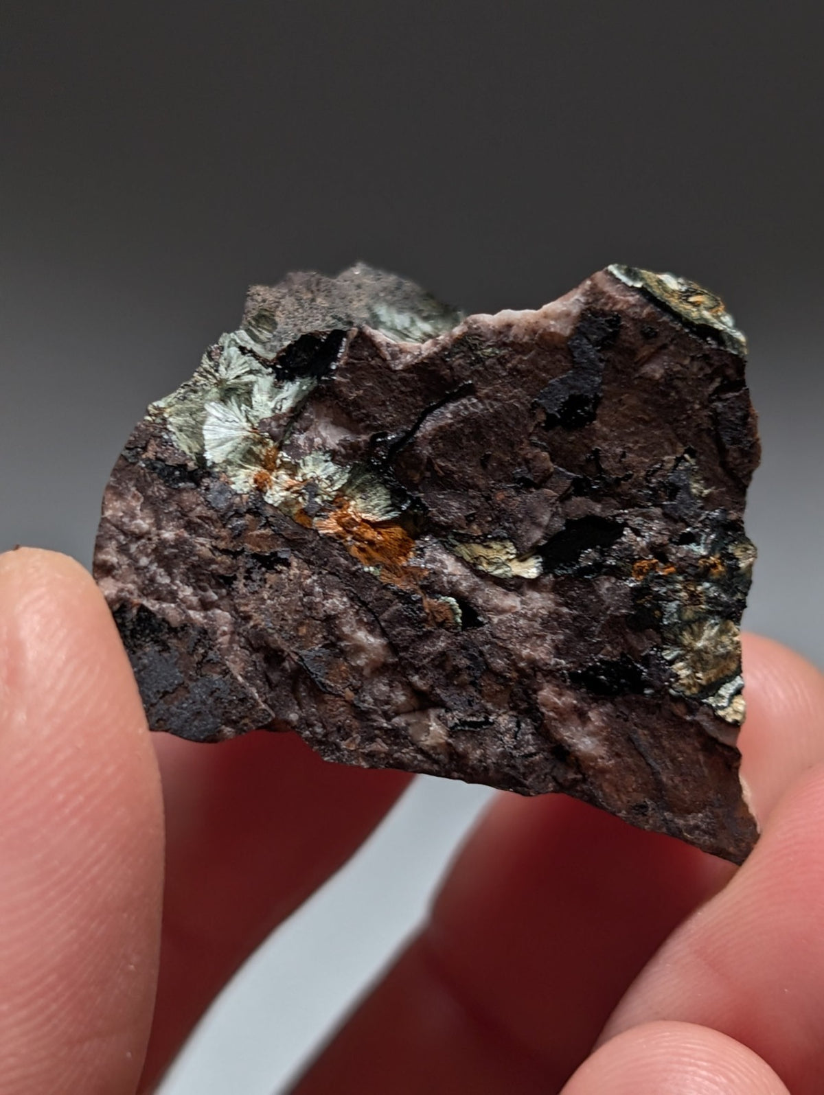 Rare Kidwellite specimen - Coon Creek Mine, Polk County, Arkansas, USA