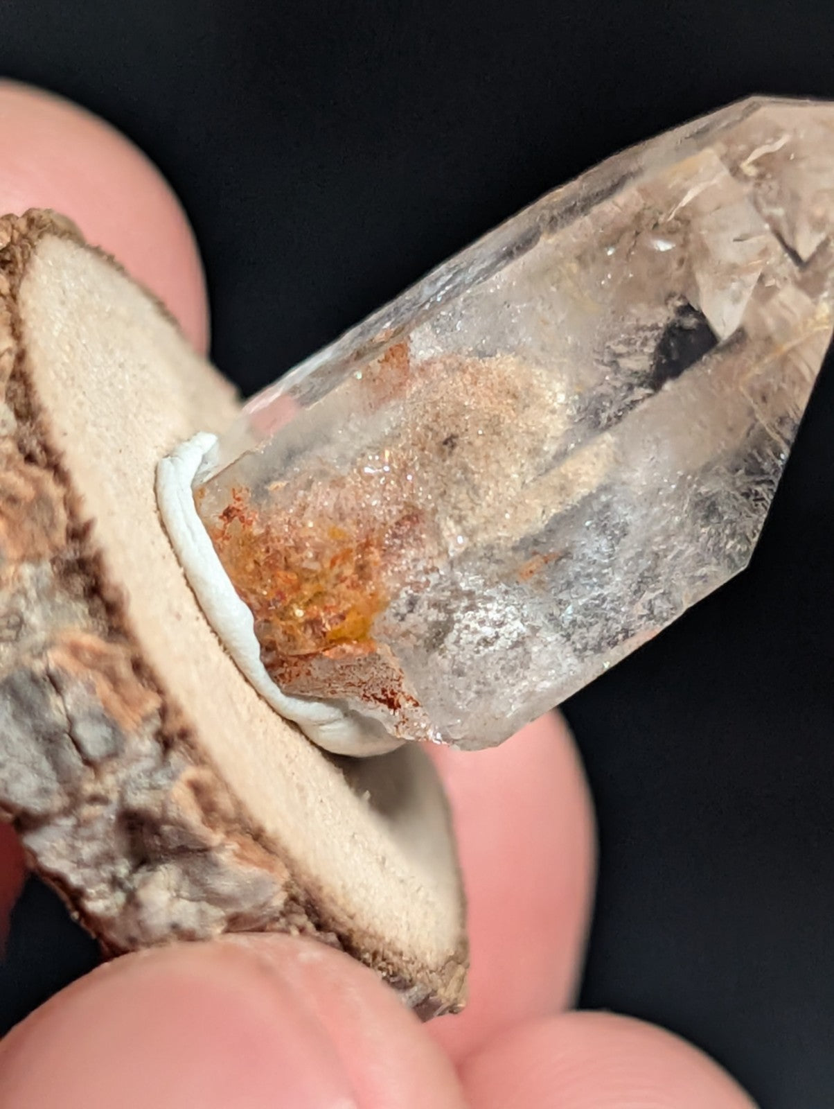A+ Phantom Quartz, Old Stock, Montgomery County, Arkansas, w/ natural wood base