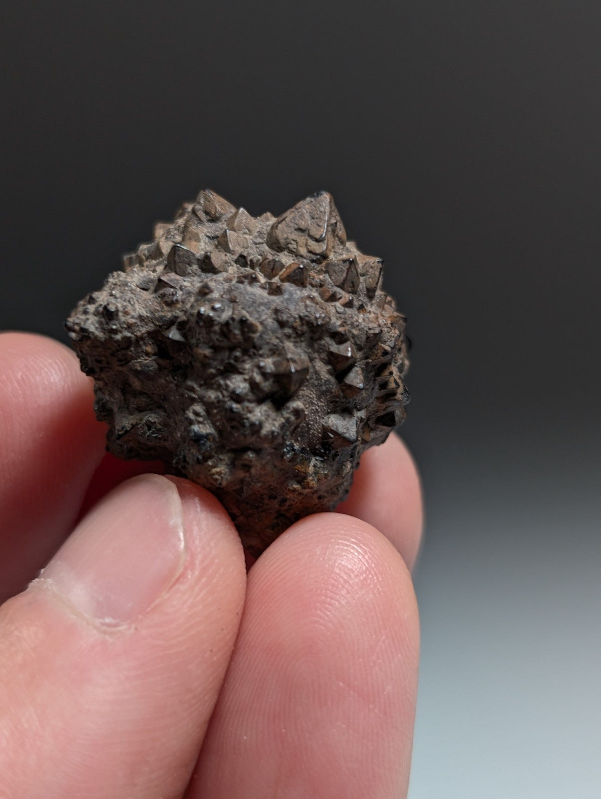 Limonite & Pyrite Pseudomorph, Benton County, Arkansas,  Ex Henry Delinde!