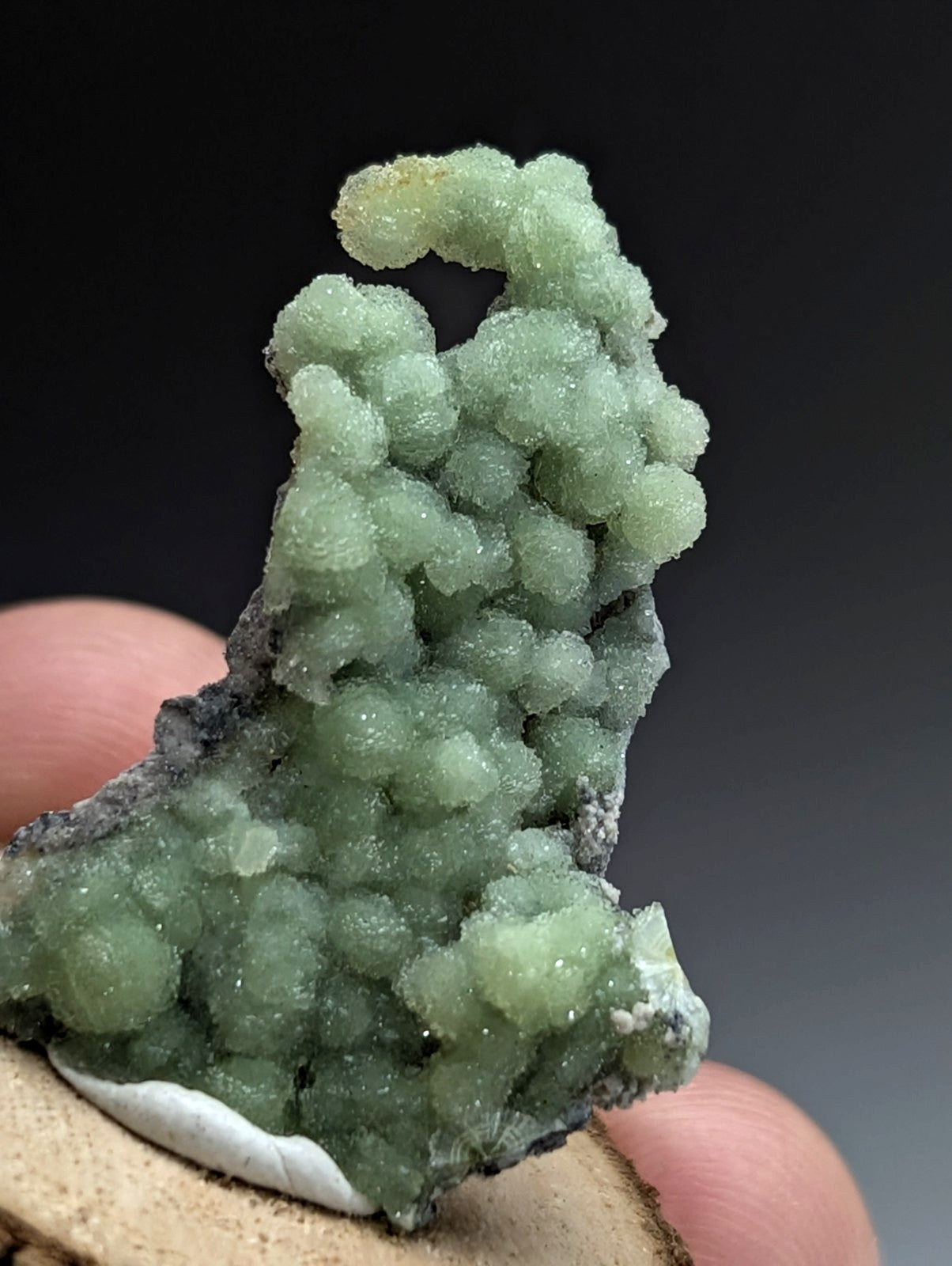 Very Unique Wavellite, Montgomery County, Arkansas, USA, w/ wood mount