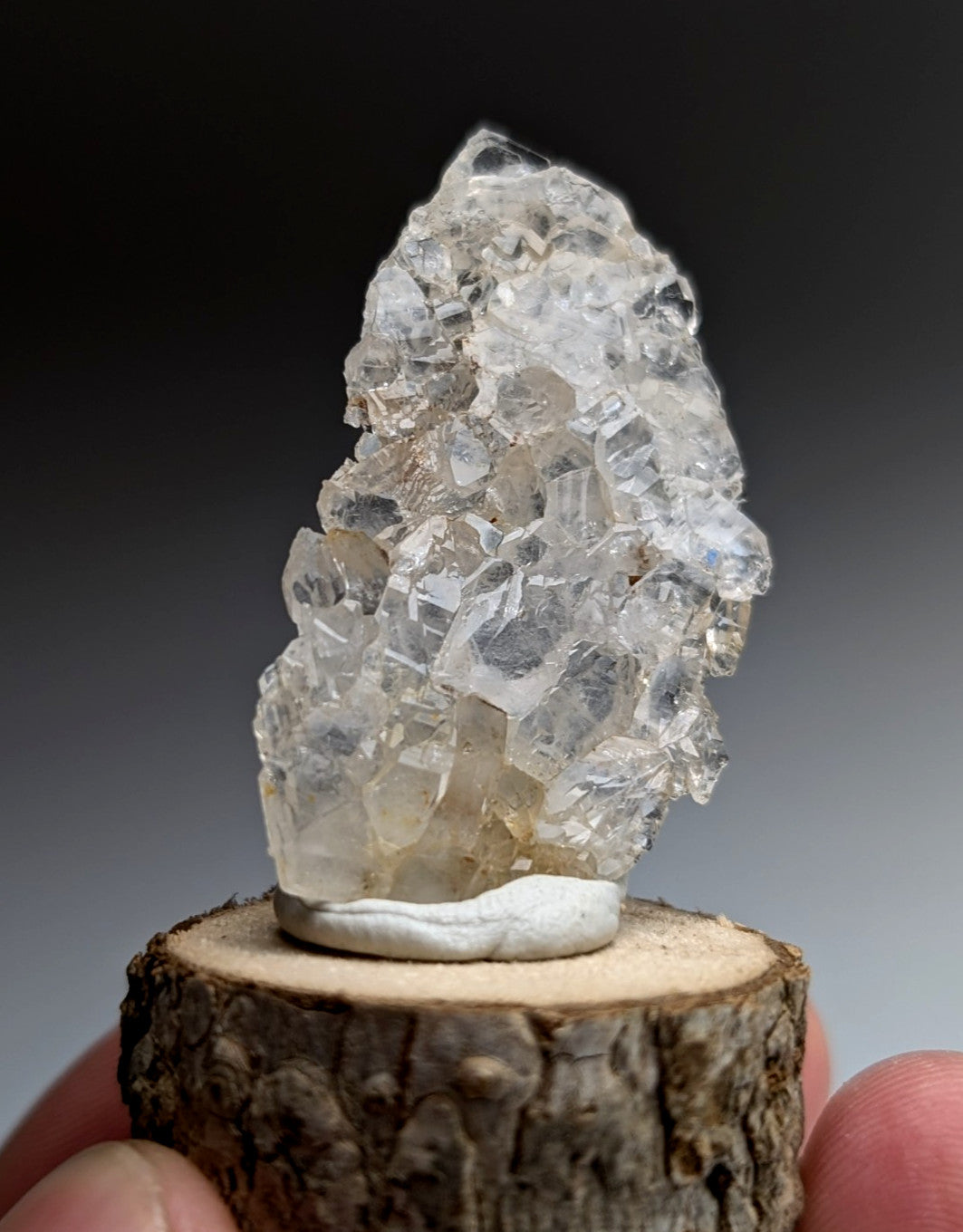 A+ Unique Quartz, Old Stock, Montgomery County, Arkansas, w/ natural wood base
