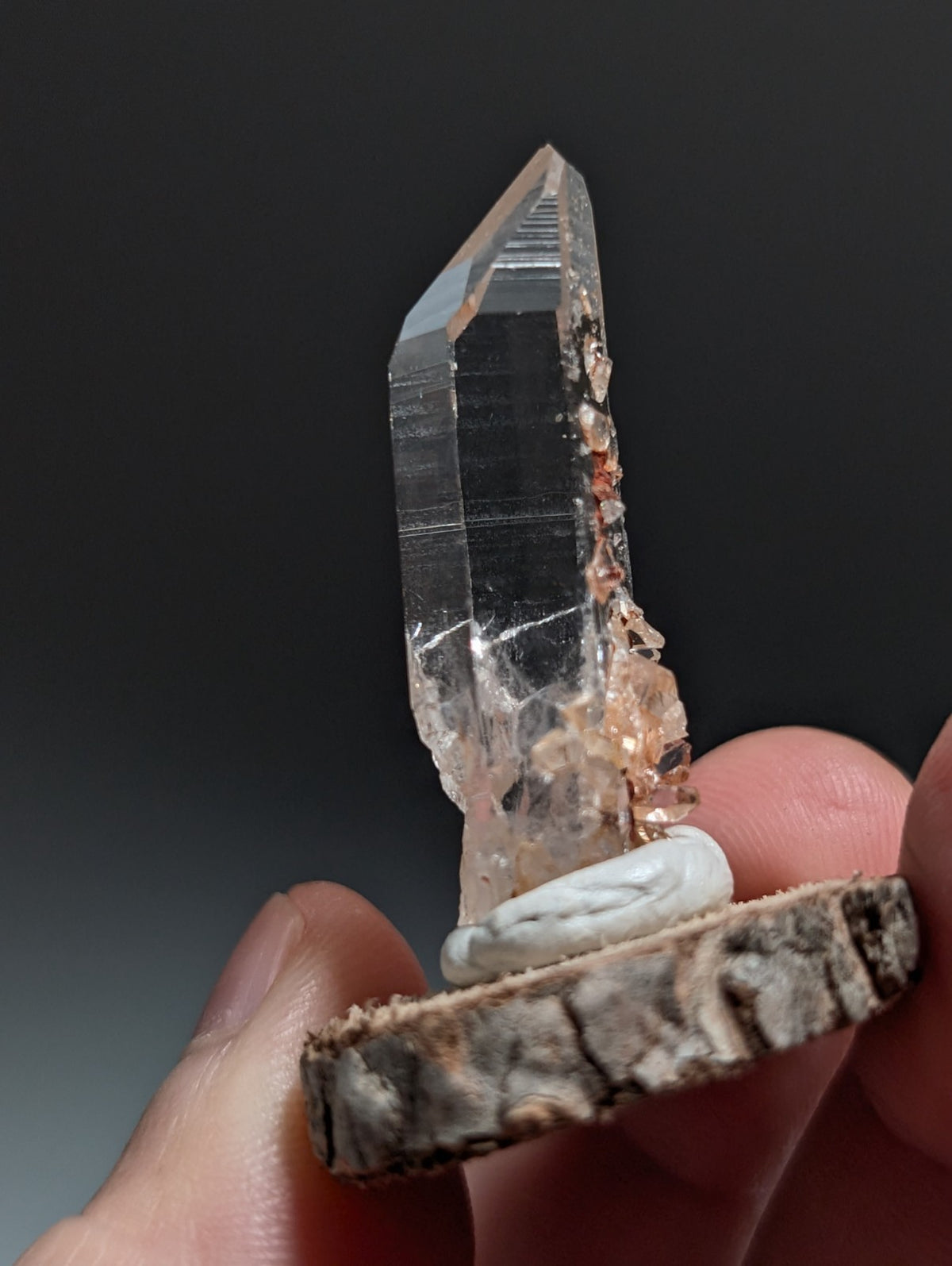 A+ Clear Quartz Crystal Point, Montgomery County, Arkansas, w/ natural wood base
