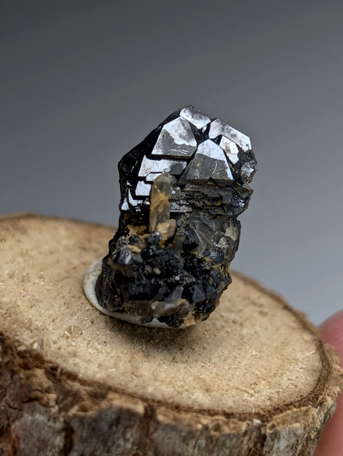 Brookite + Smoky Quartz, Magnet Cove, Arkansas, Old Stock, + wood stand