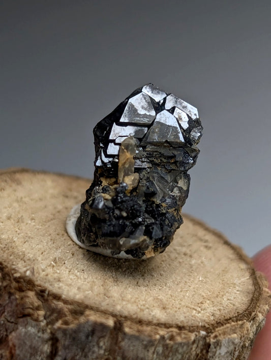 Brookite + Smoky Quartz, Magnet Cove, Arkansas, Old Stock, + wood stand