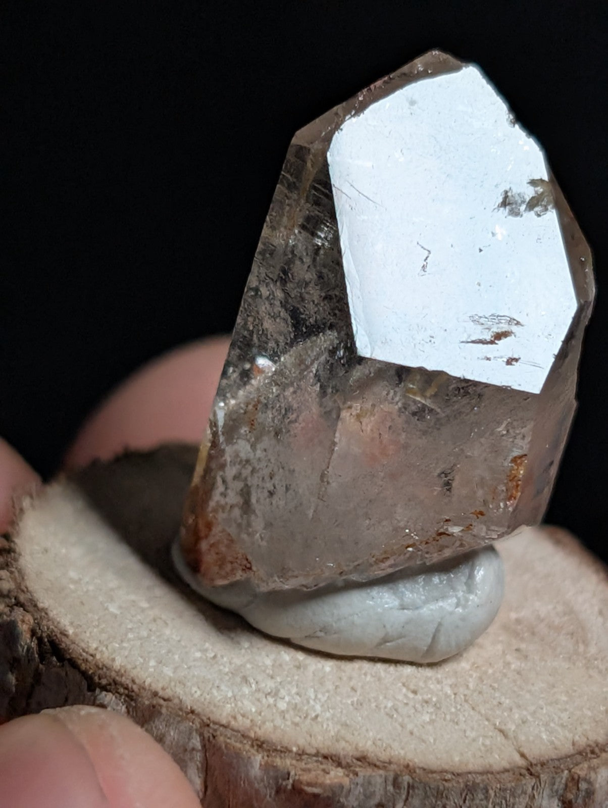 A+ Phantom Quartz, Old Stock, Montgomery County, Arkansas, w/ natural wood base