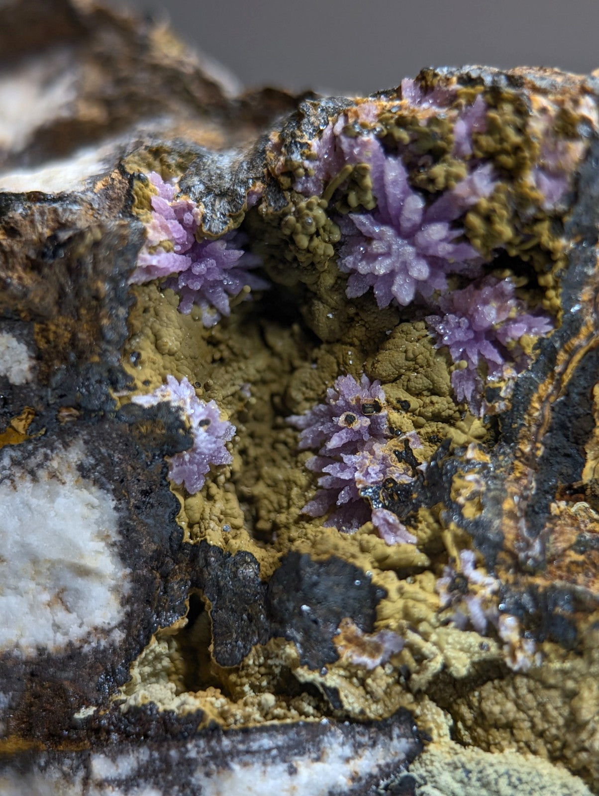 Super Rare Strengite + Kidwellite, etc, Coon Creek Mine, Polk Co, Arkansas, A+++