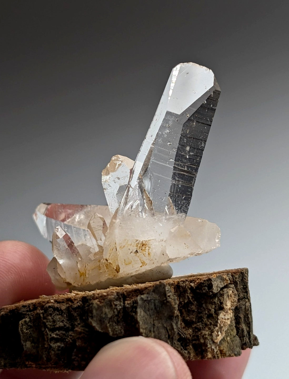 A+ Quartz Cluster, Old Stock, Montgomery County, Arkansas, w/ natural wood base