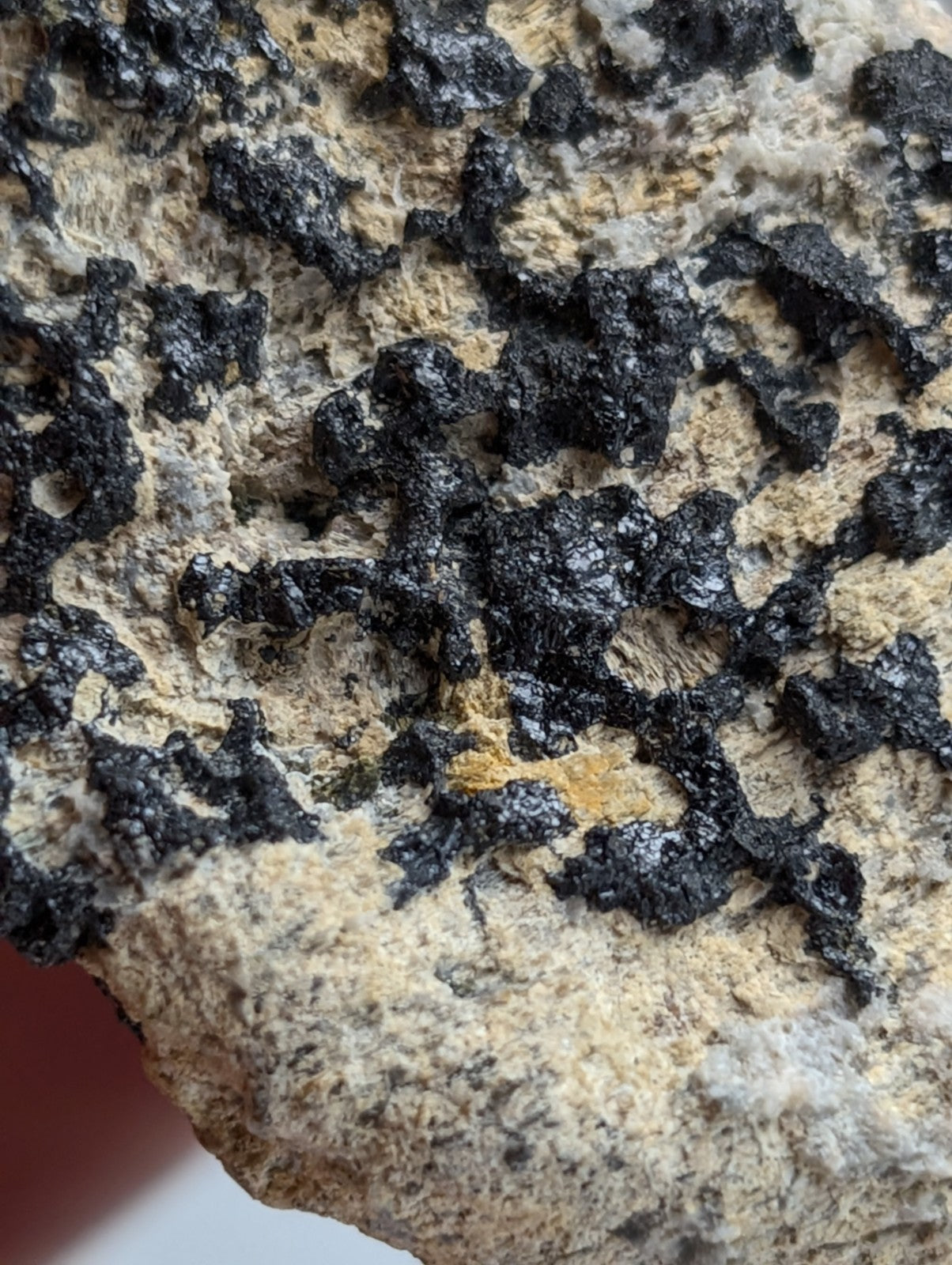 Garnet on Syenite matrix, Magnet Cove, Hot Spring County, Arkansas, Old Stock