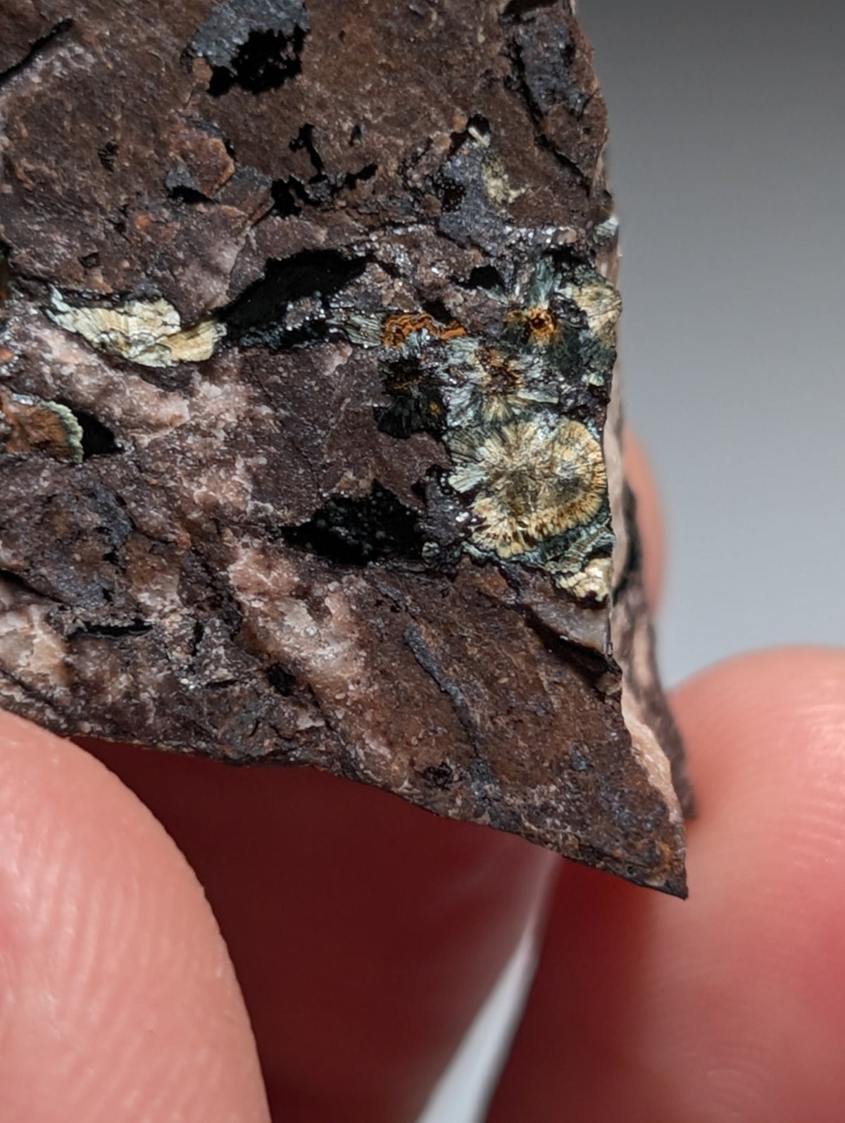 Rare Kidwellite specimen - Coon Creek Mine, Polk County, Arkansas, USA