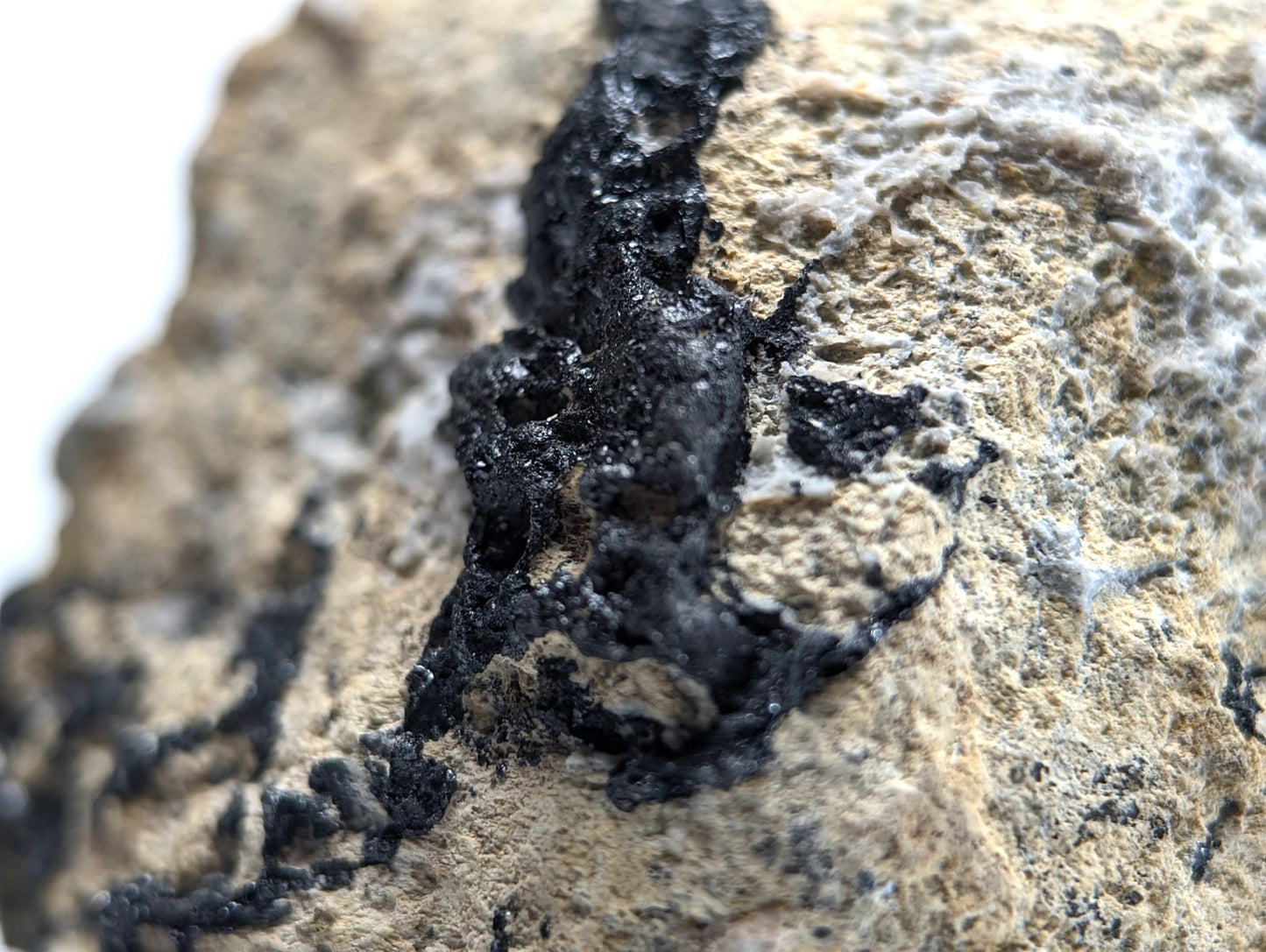 Garnet on Syenite matrix, Magnet Cove, Hot Spring County, Arkansas, Old Stock
