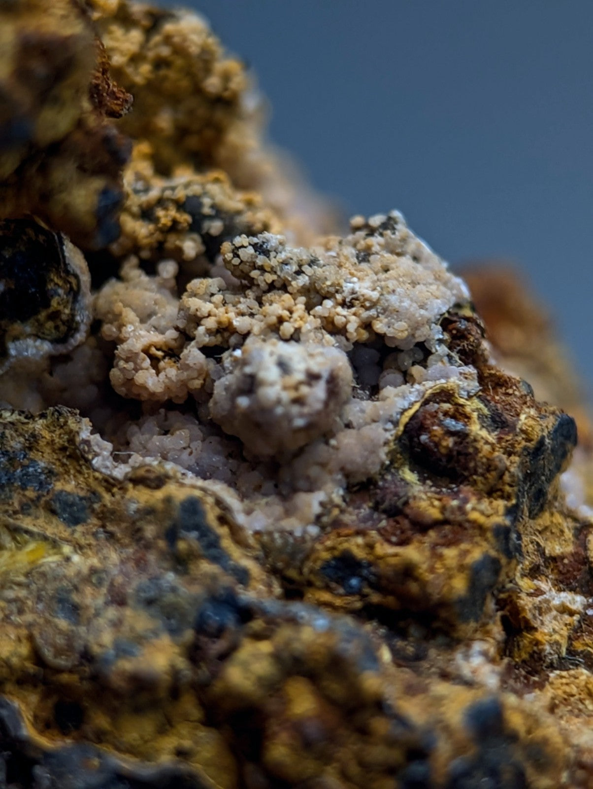 Super Rare Strengite + Cacoxenite, etc, Coon Creek Mine, Polk Co, Arkansas, USA