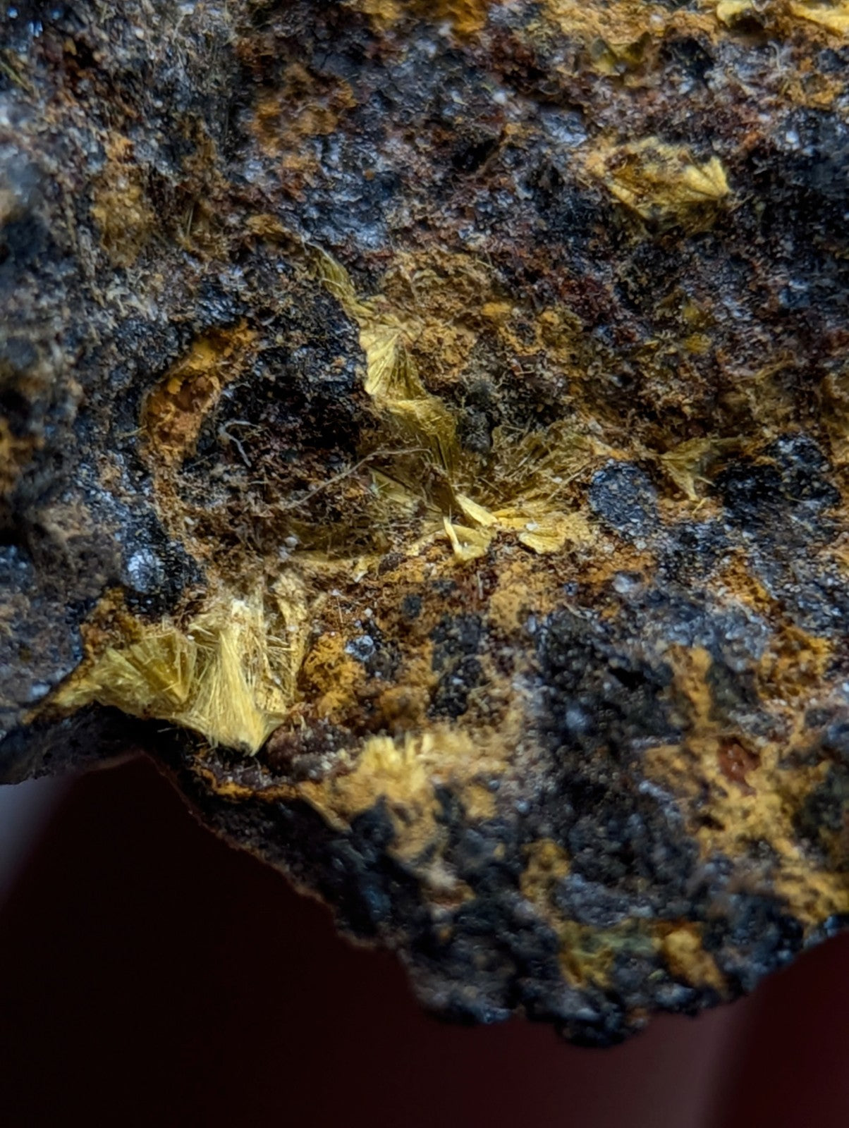 Super Rare Strengite + Cacoxenite, etc, Coon Creek Mine, Polk Co, Arkansas, USA