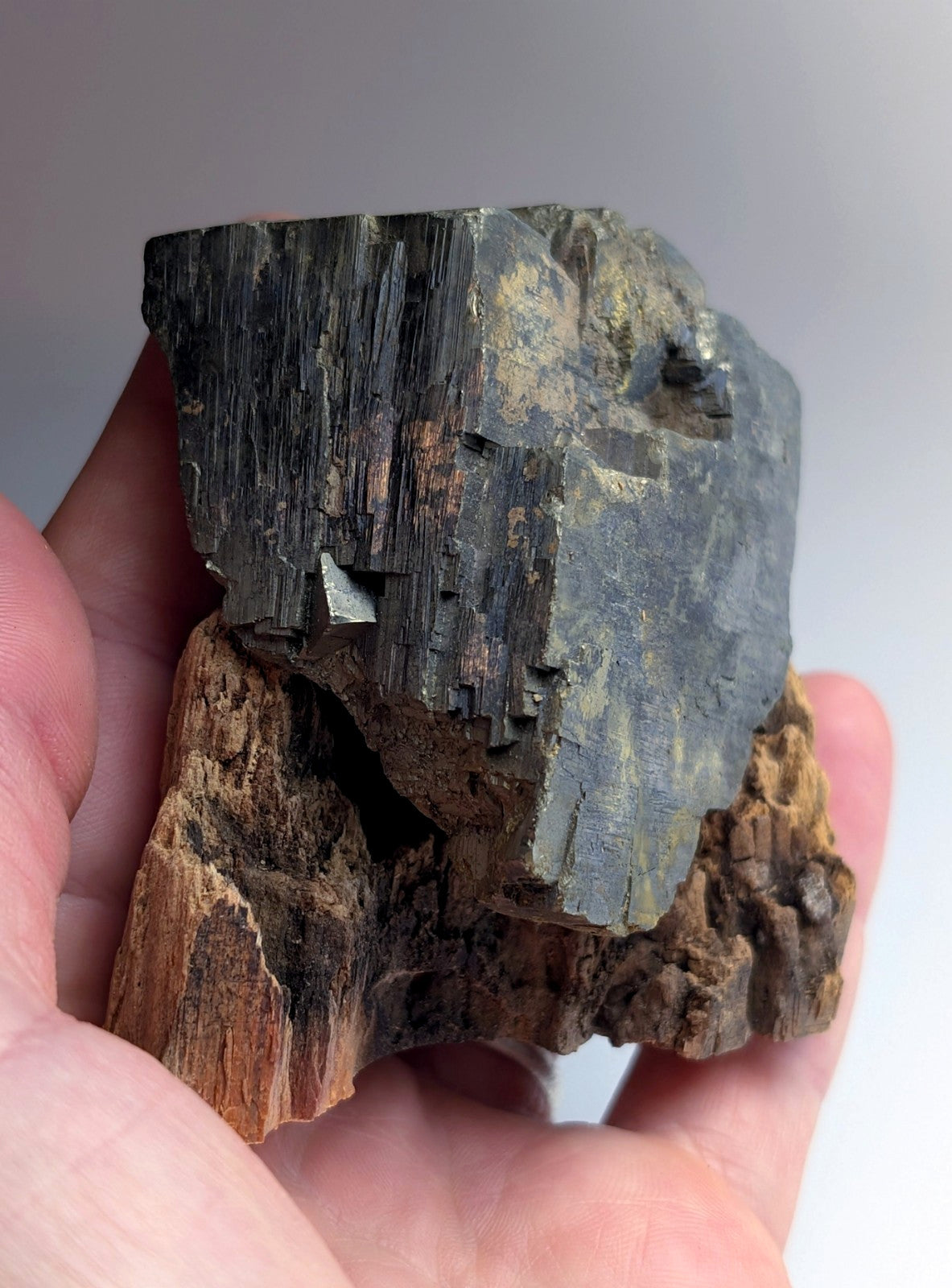 Pyrite with Molybdenum, Magnet Cove, Arkansas, USA, w/ wood display, ex Delinde