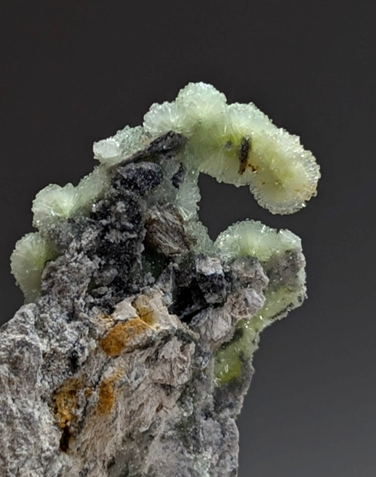 Very Unique Wavellite, Montgomery County, Arkansas, USA, w/ wood mount