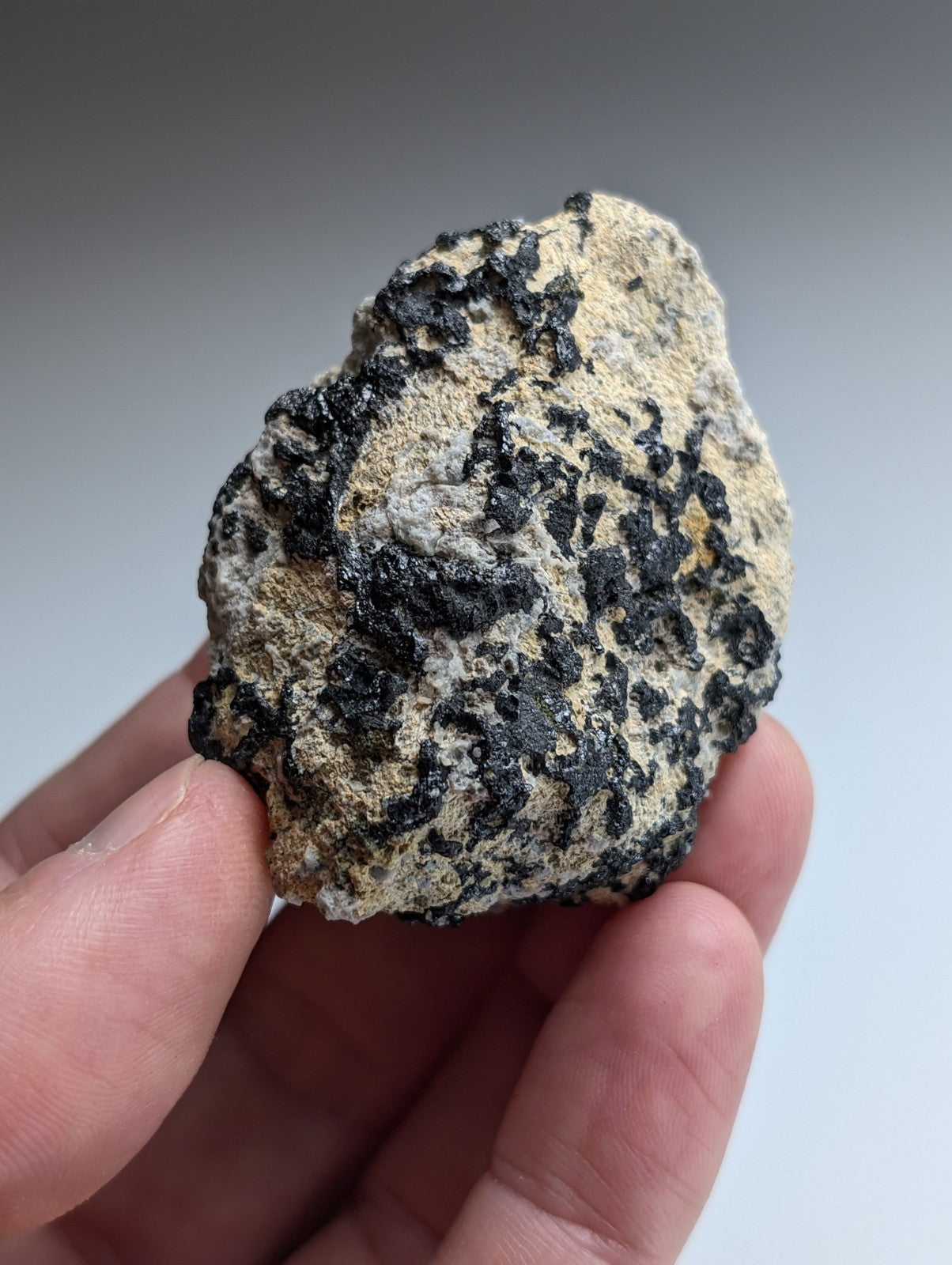 Garnet on Syenite matrix, Magnet Cove, Hot Spring County, Arkansas, Old Stock