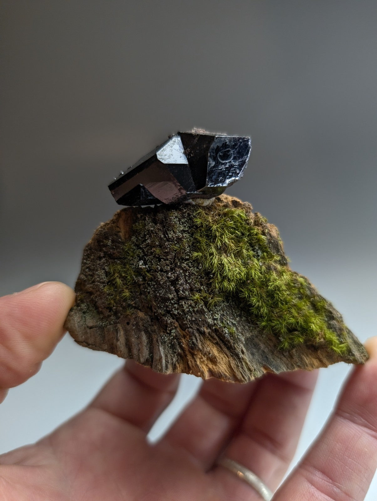 A+ Twinned Rutile Crystal, Graves Mountain, Georgia, USA,  Rare Old Stock