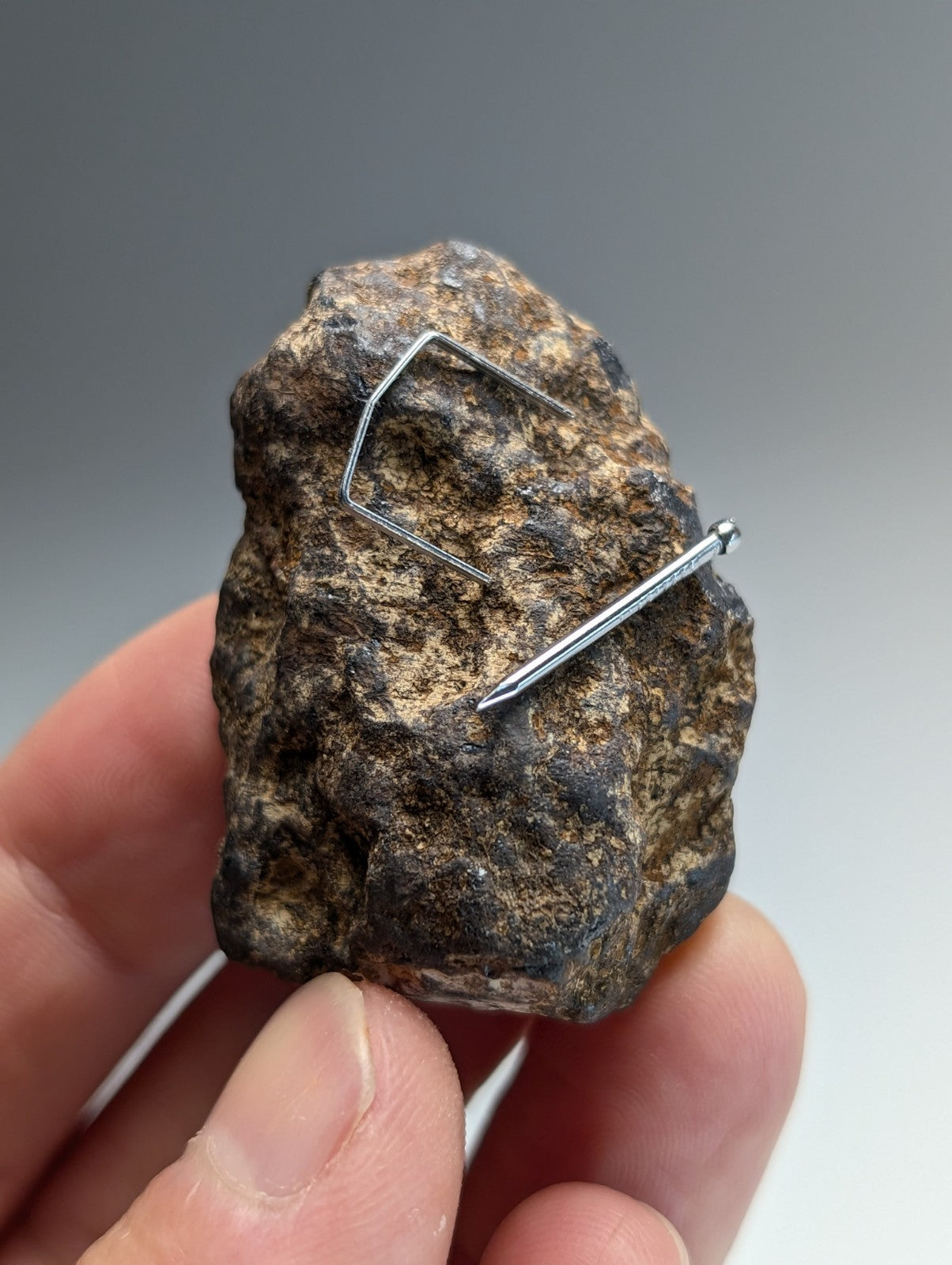 Magnetite (lodestone), Magnet Cove, Hot Spring County, Arkansas, Natural Magnet!