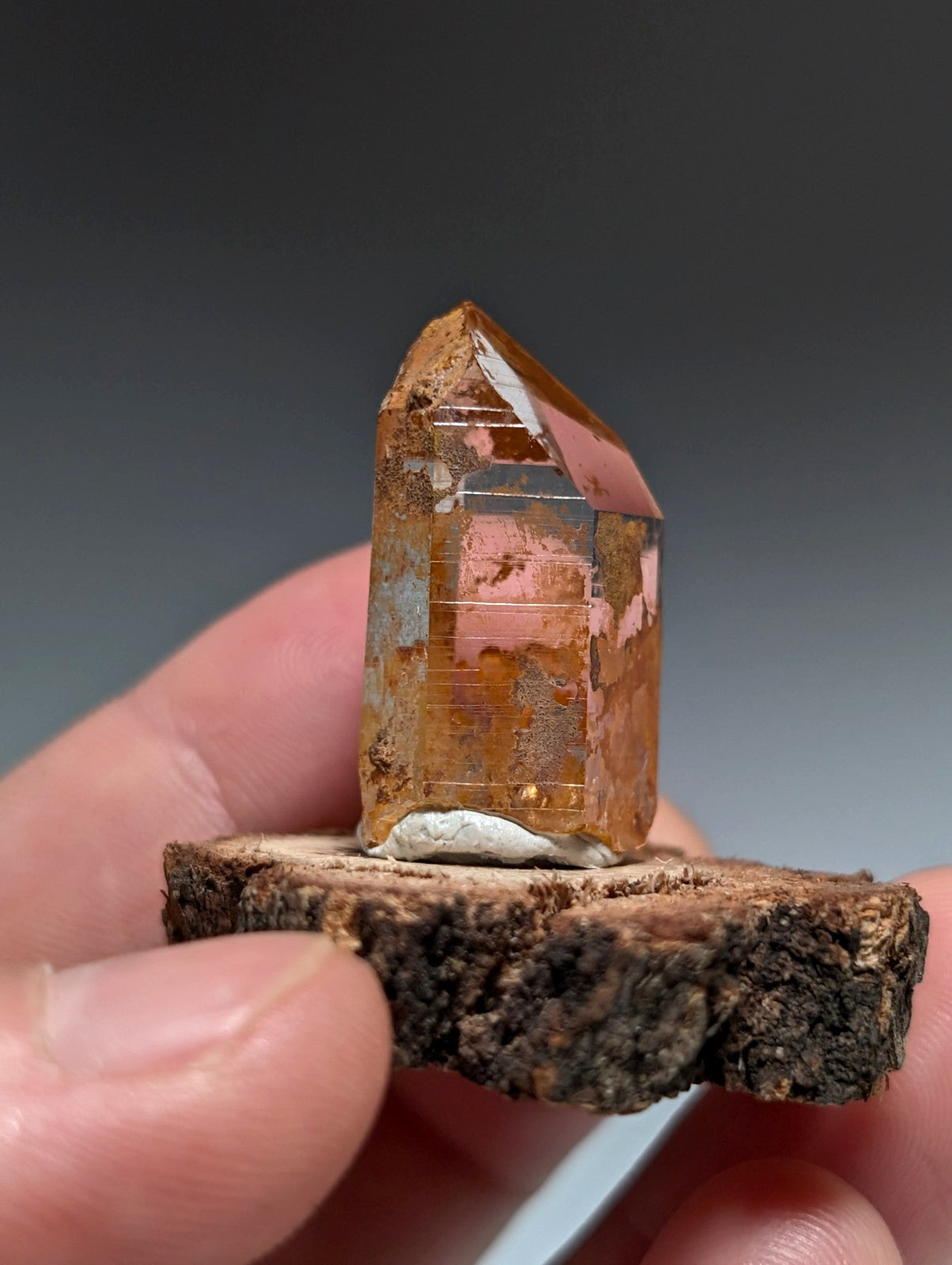 A+ Optical Quartz, Old Stock, Montgomery County, Arkansas, w/ natural wood base