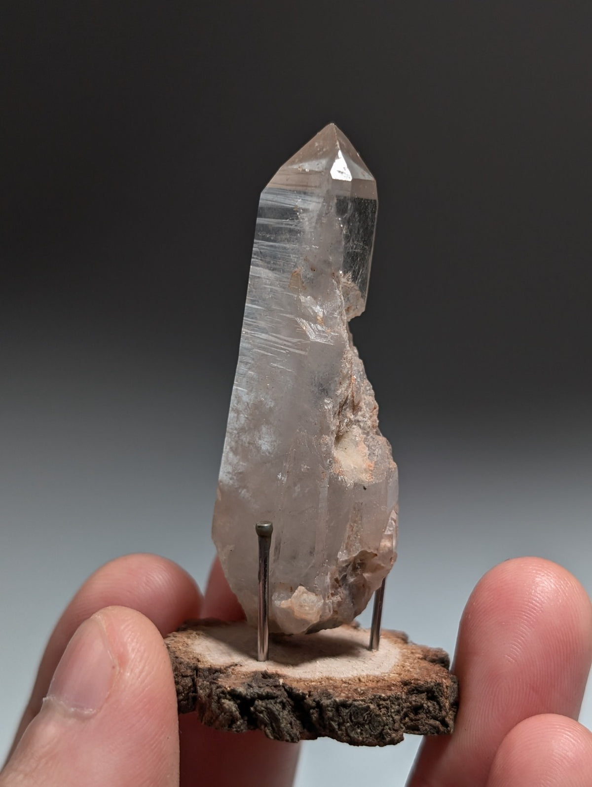 Quartz Crystal Point, Old Stock, Montgomery County, Arkansas, USA