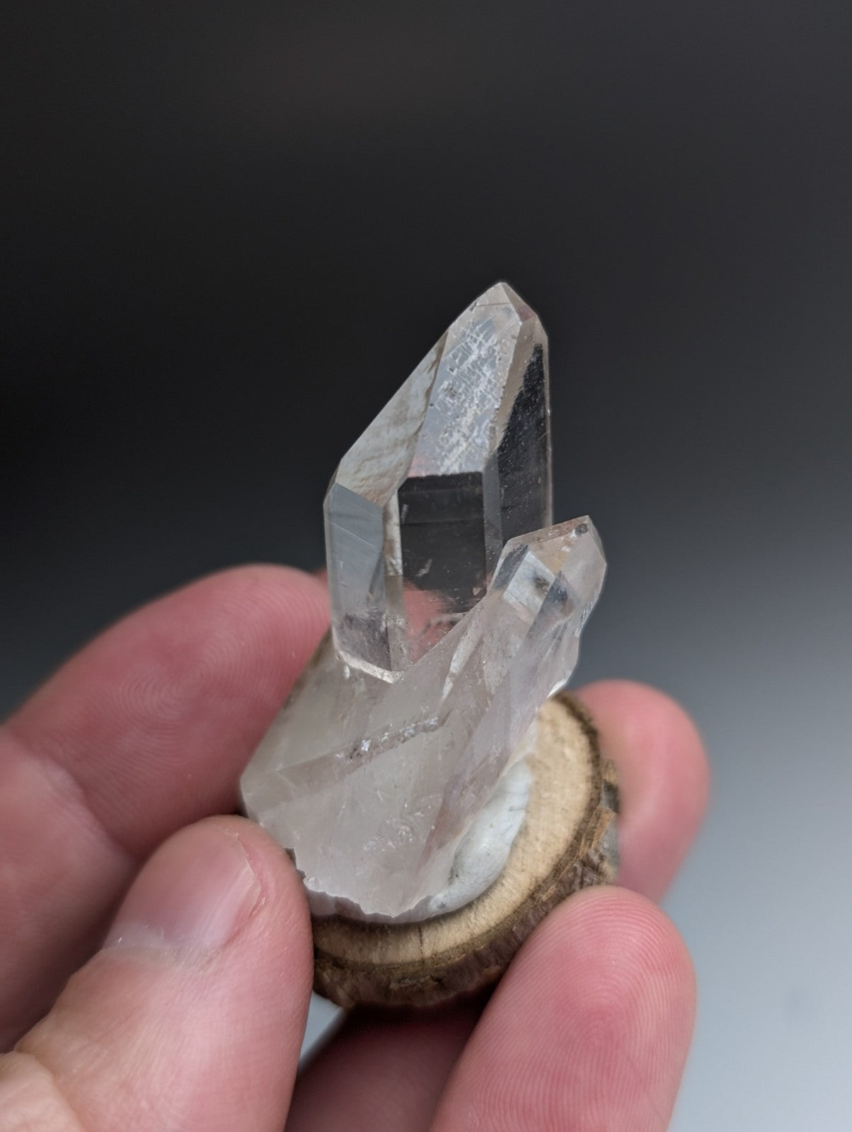Unique Quartz Point, Old Stock, Garland County, Arkansas, w/ natural wood base