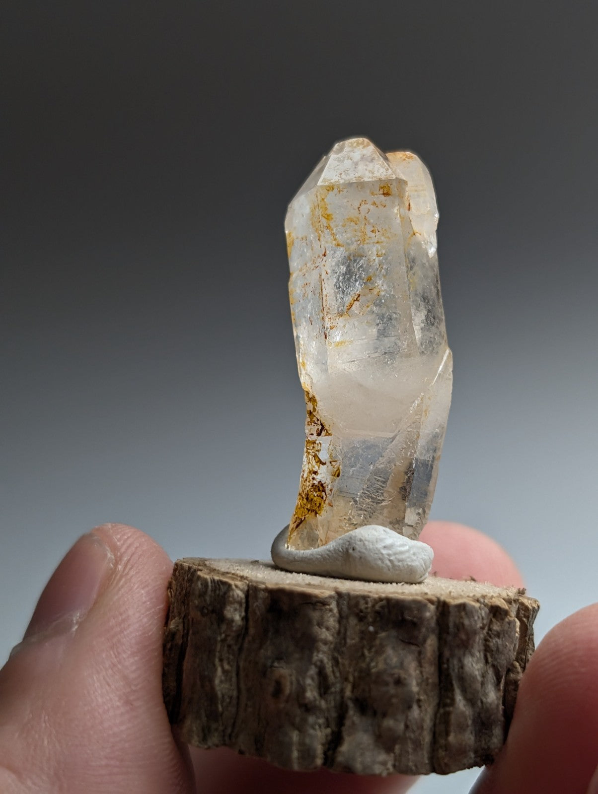 Curved Quartz, Old Stock, Montgomery County, Arkansas, w/ natural wood base