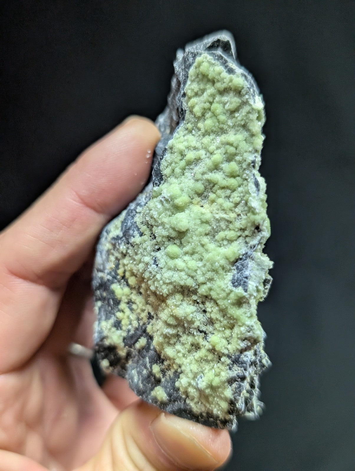A hand holds a dark gray rock specimen featuring vibrant, light green crystalline formations.